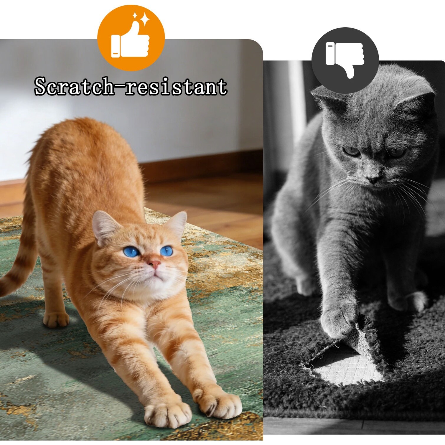 BBabe J2RZZZYN56LR Mats-Cat - View #7