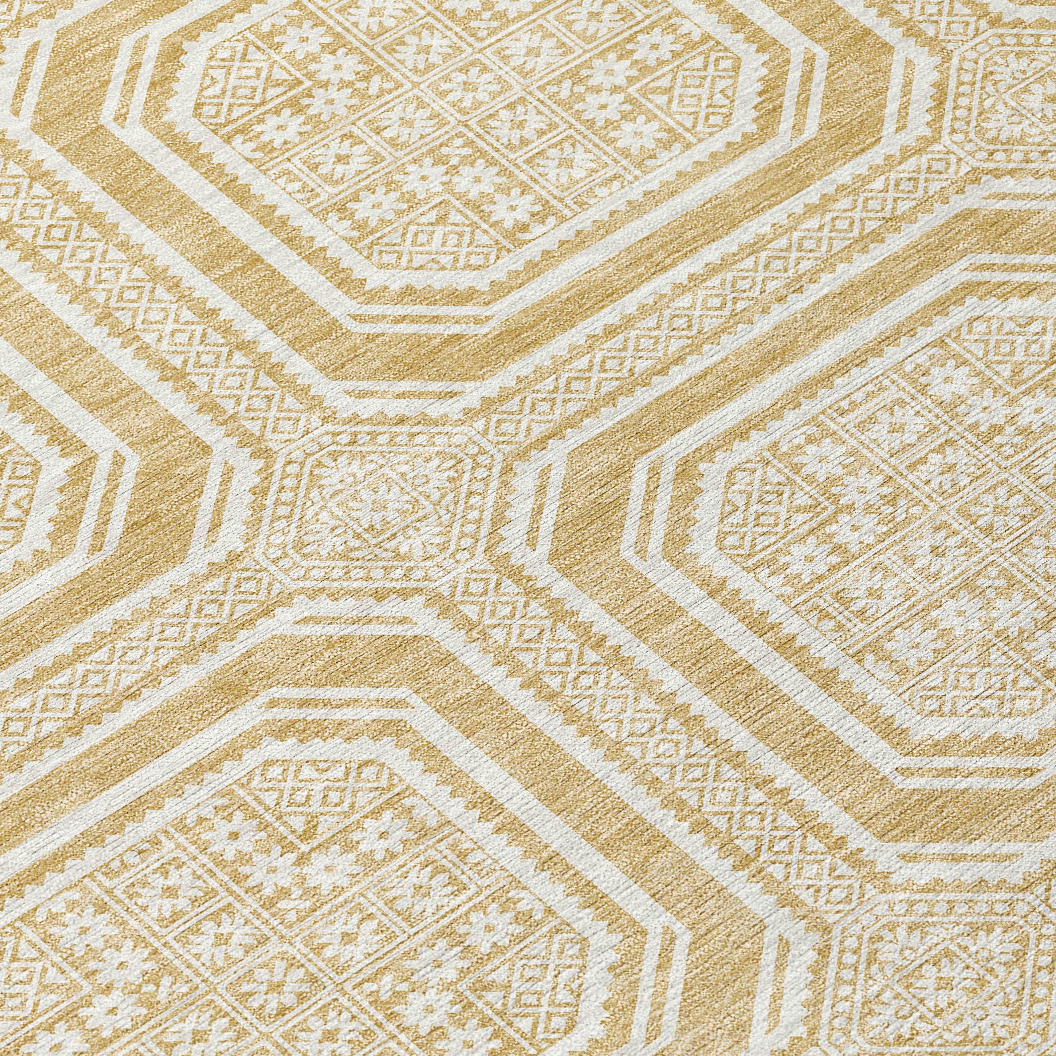 Addison Rugs ACN1455GO8RO rugs - View #6