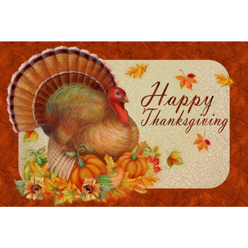 Mohawk Home RG607-17482-18X27 1-1/2-ft x 2-1/2-ft Multi-color Rectangular Door Mat