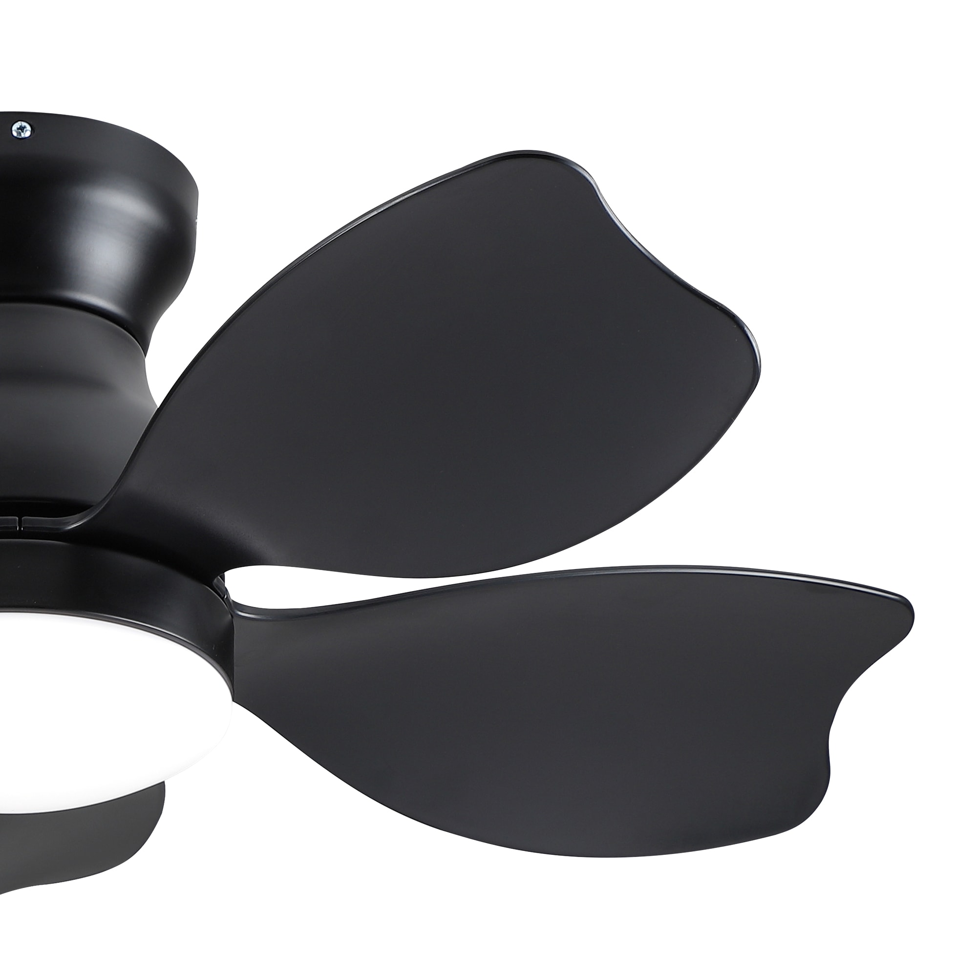Flynama L-79919 Ceiling-Fans - View #8