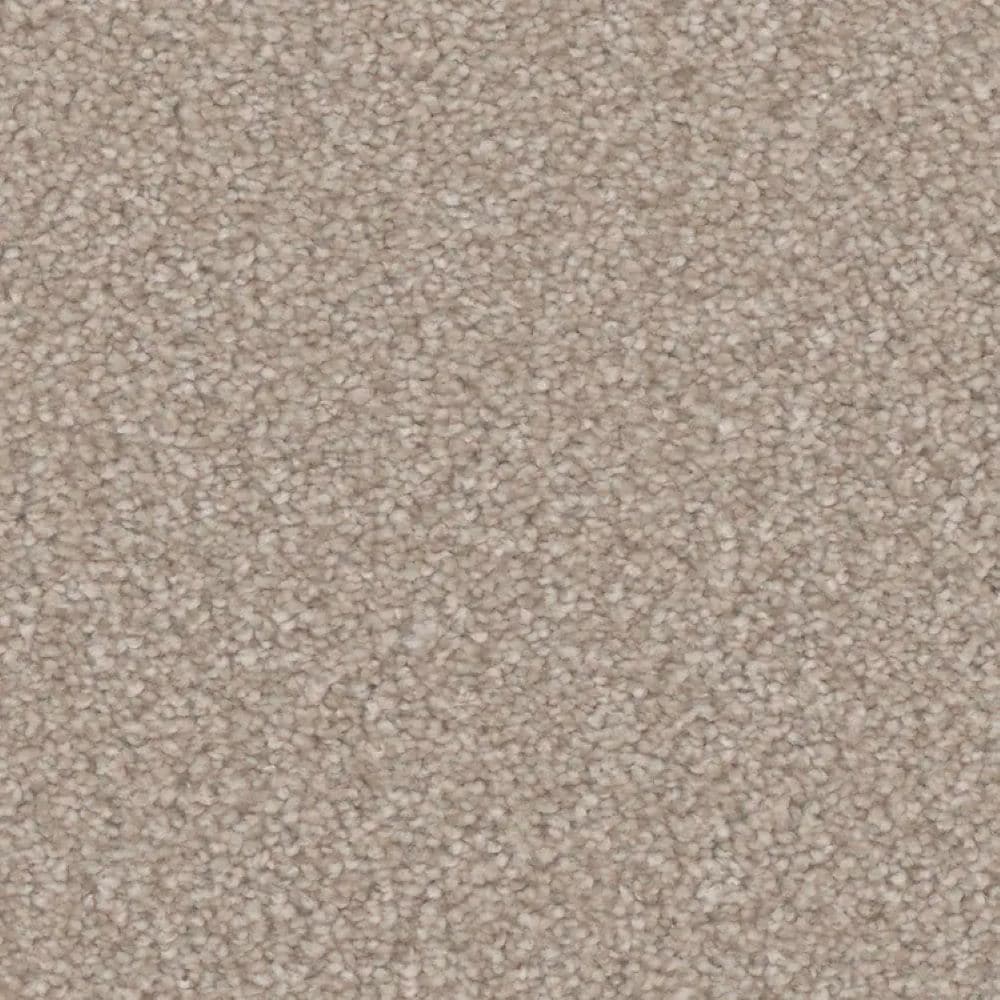STAINMASTER S9850-10003-1200-MO Bliss II Crepe Brown 50-oz sq yard Polyester Textured Indoor Carpet