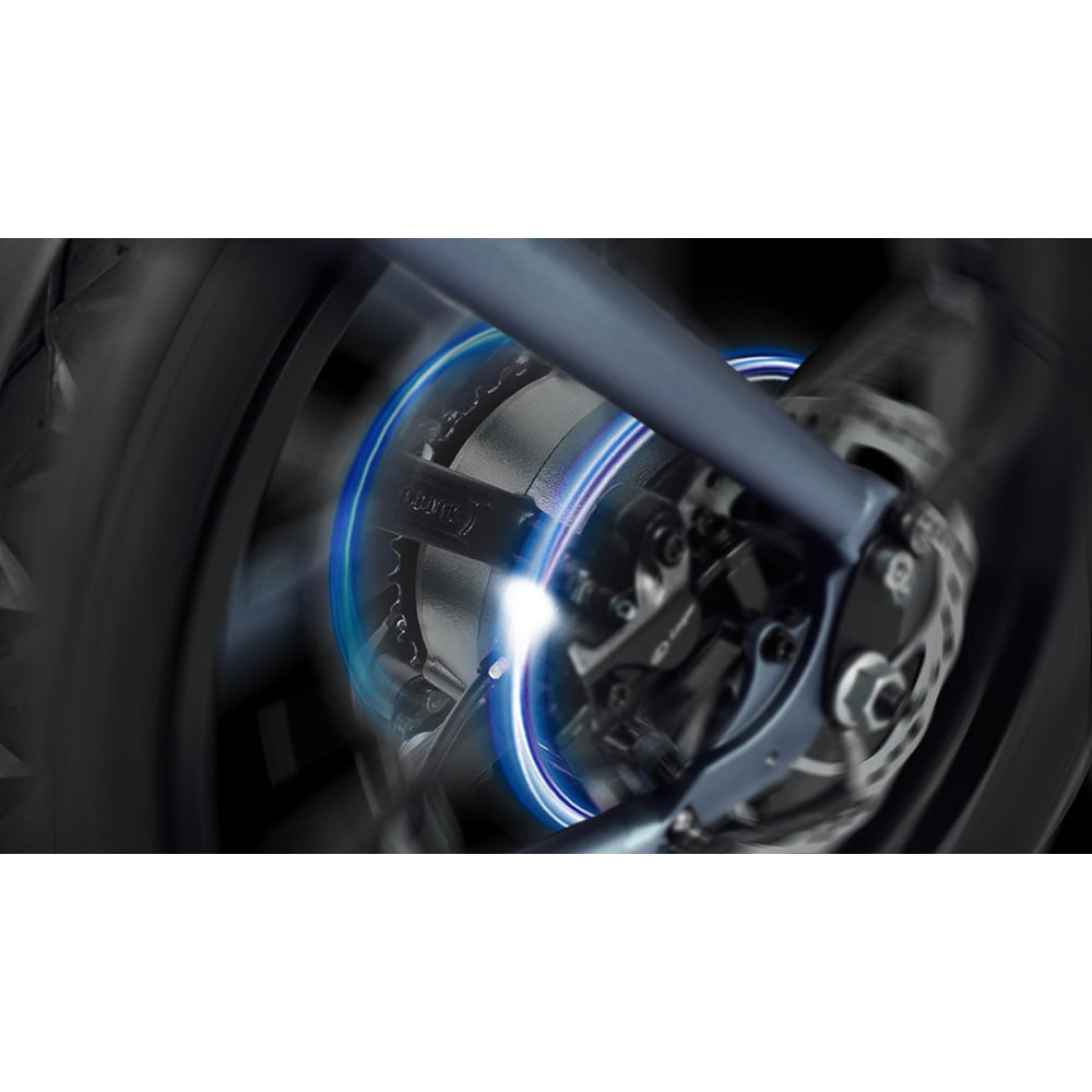 Young Electric 12803020DB bikes - View #5