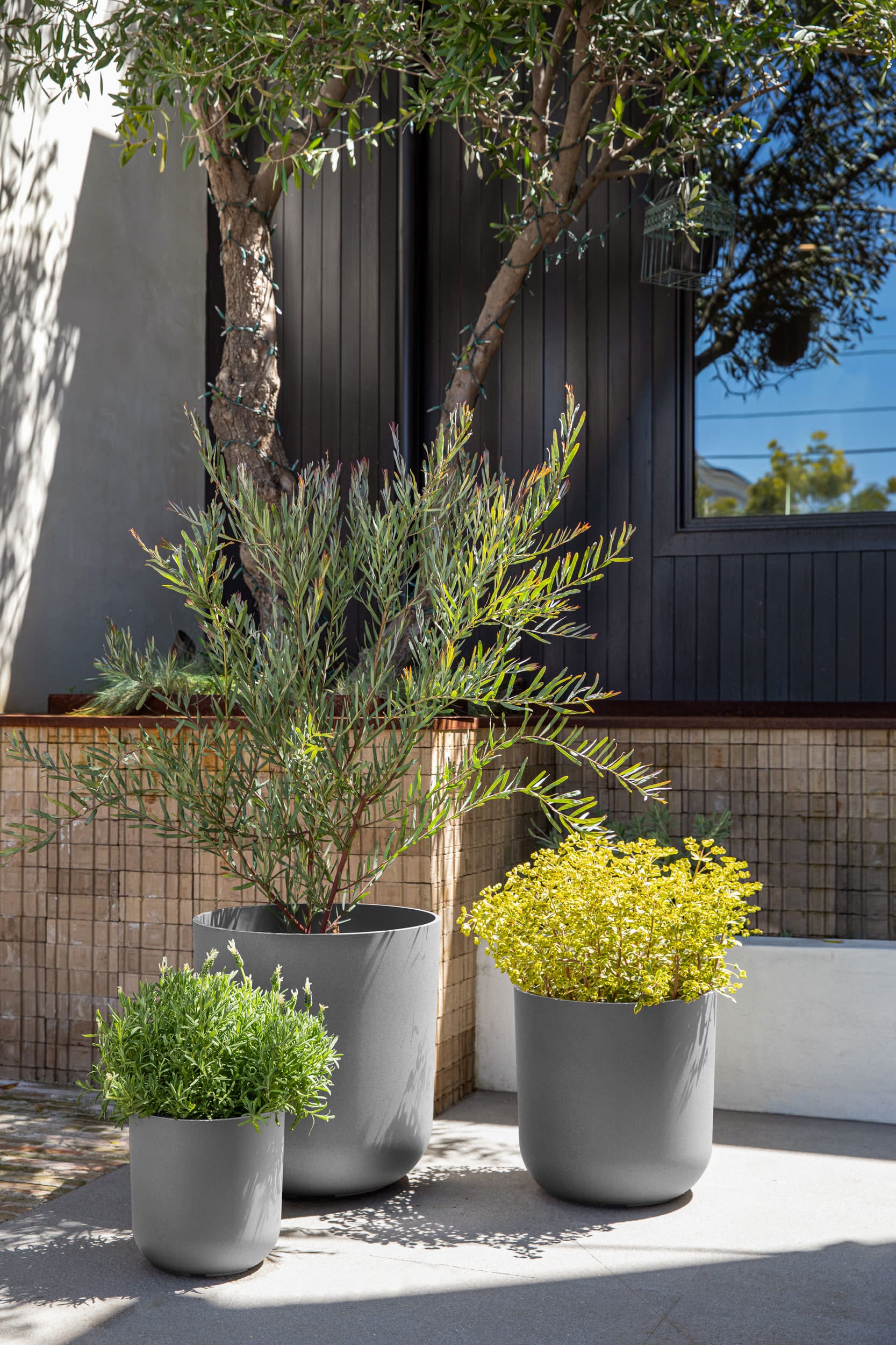 Veradek KNV-BUN-C Planter-Window-Box - View #5