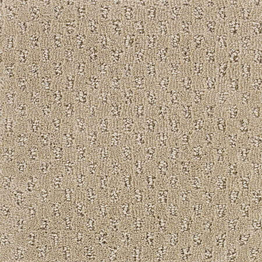 STAINMASTER S405873NATURAL -8551 PetProtect River Walk Natural Linen Pattern Carpet Sample (Interior)