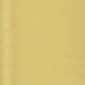 Polished Gold