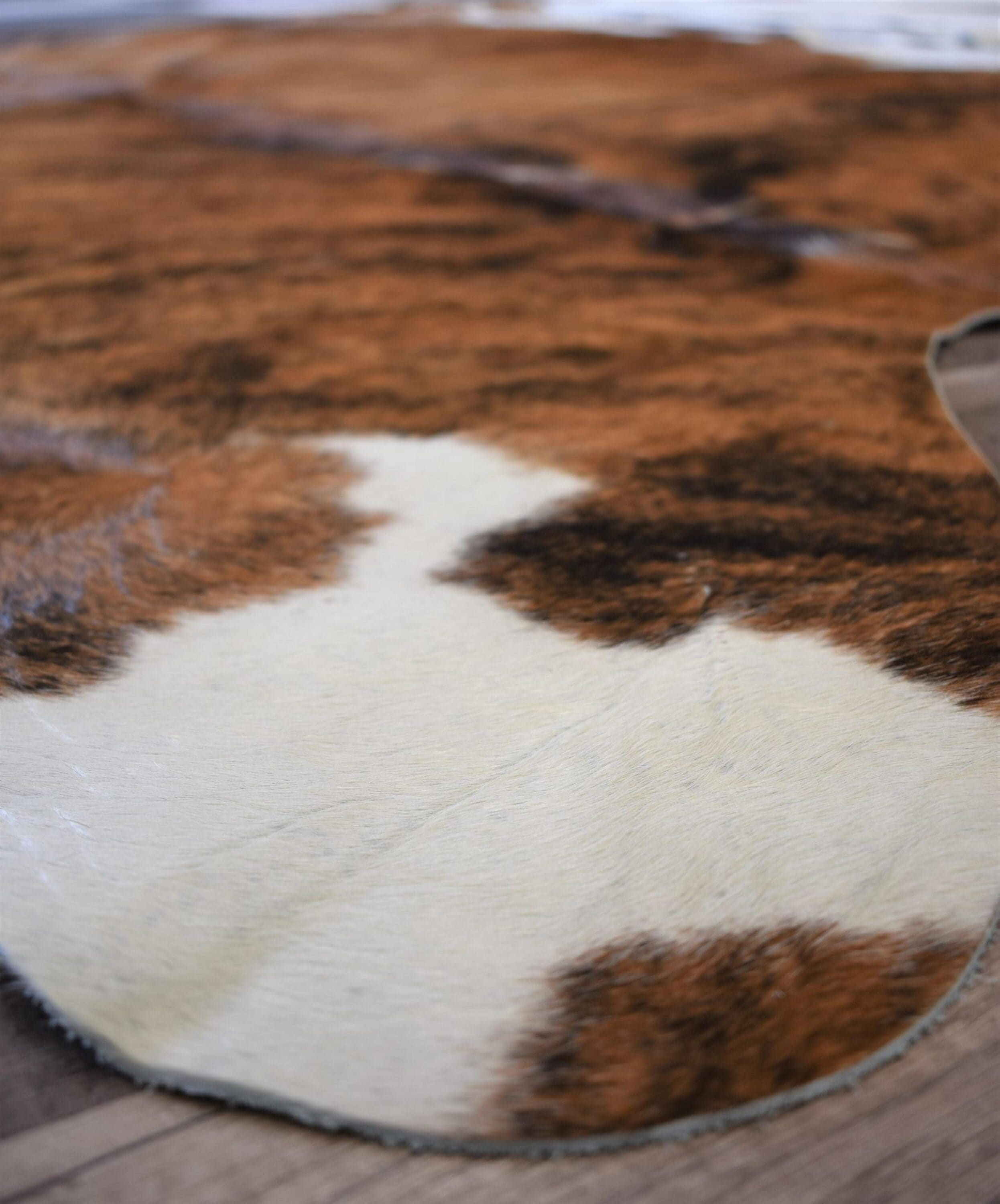Rugs America 27903 rugs - View #3