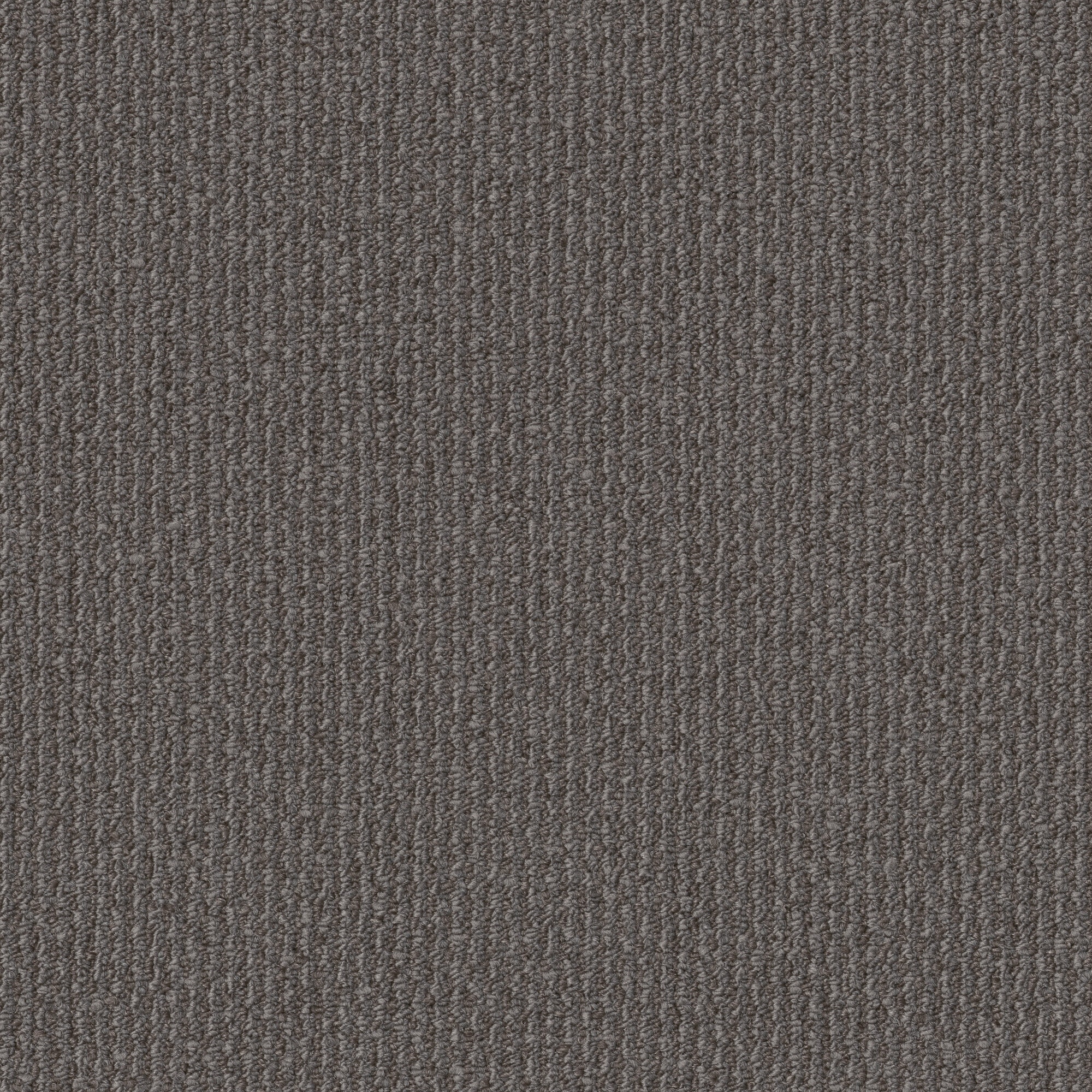Style Selections 7L924-50520-SAMP (Sample) Telluride Concept Gray 16-oz sq yard Nylon Textured Indoor Carpet