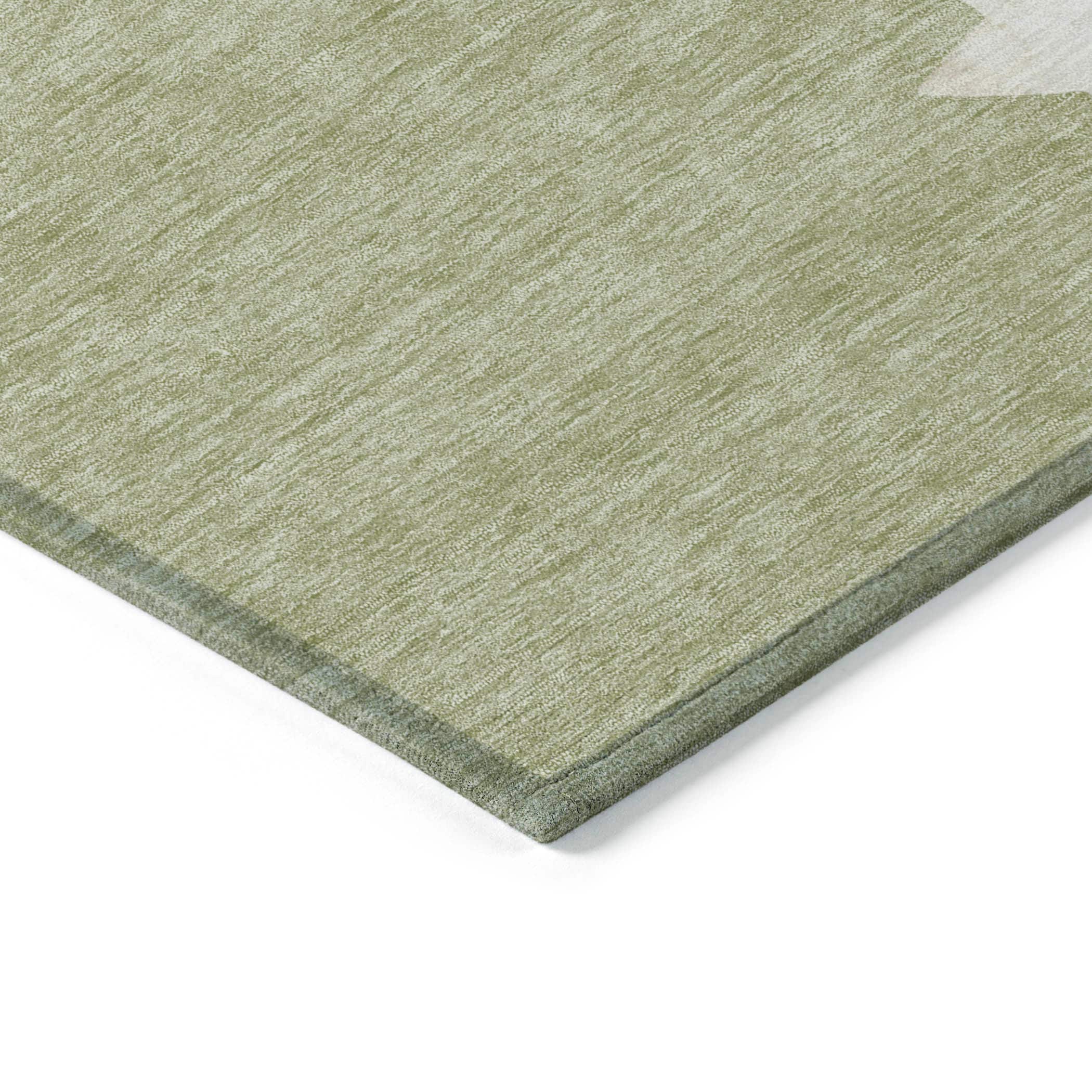 Addison Rugs ACN1825AL20X30 rugs - View #4