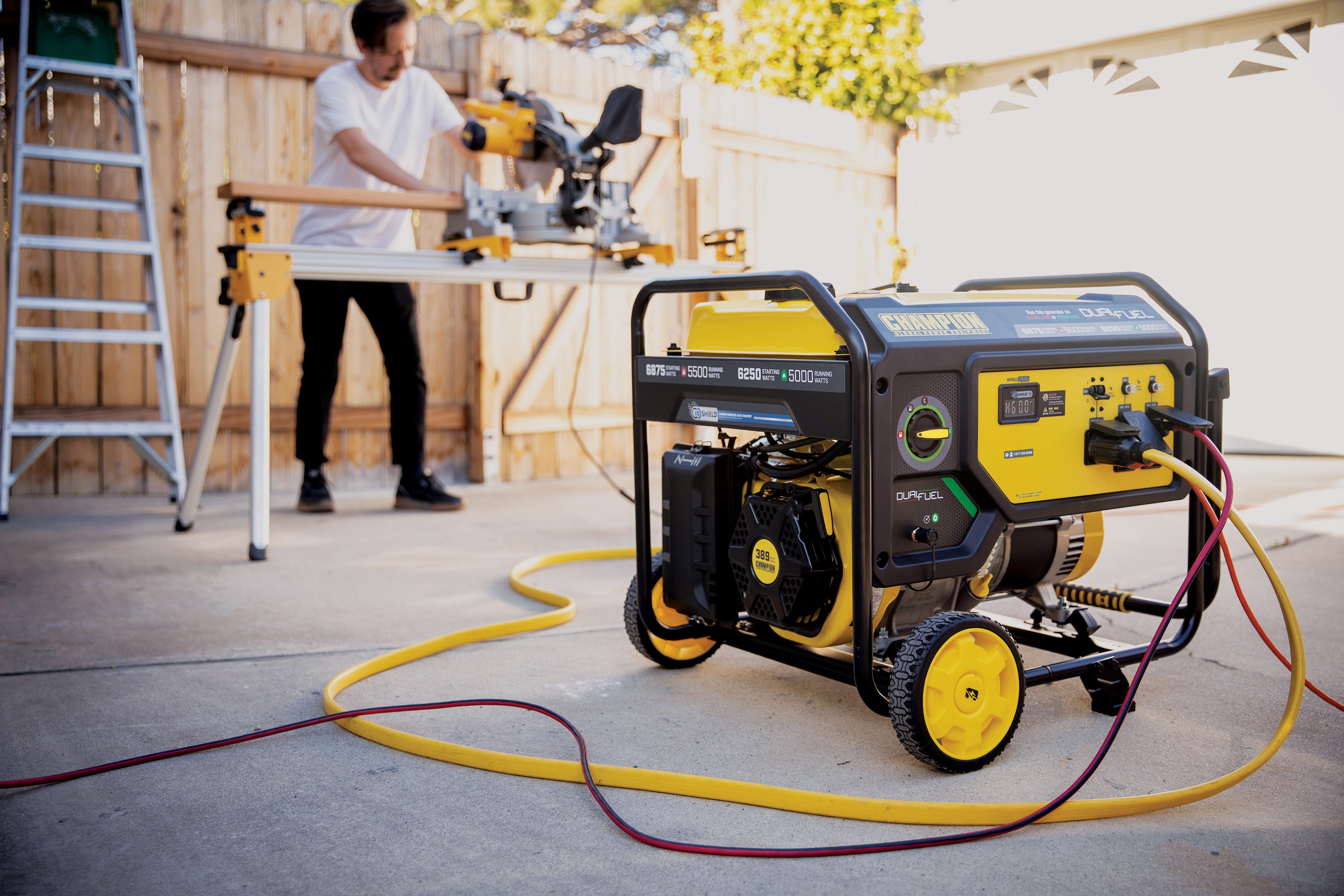 Champion Power Equipment 201505 Portable-Generators - View #9