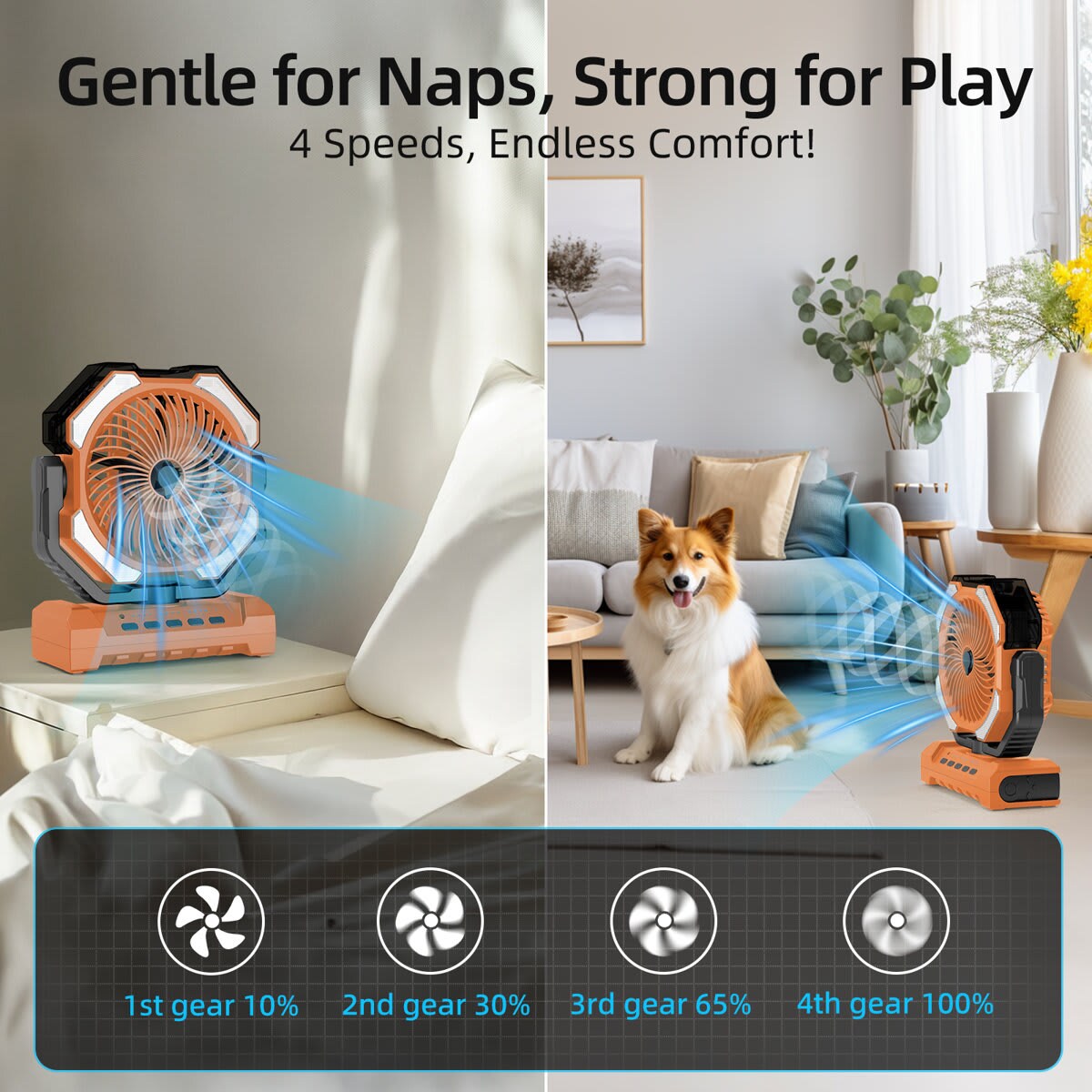 BIGHOUSE 2002000019 m090300 - View #5