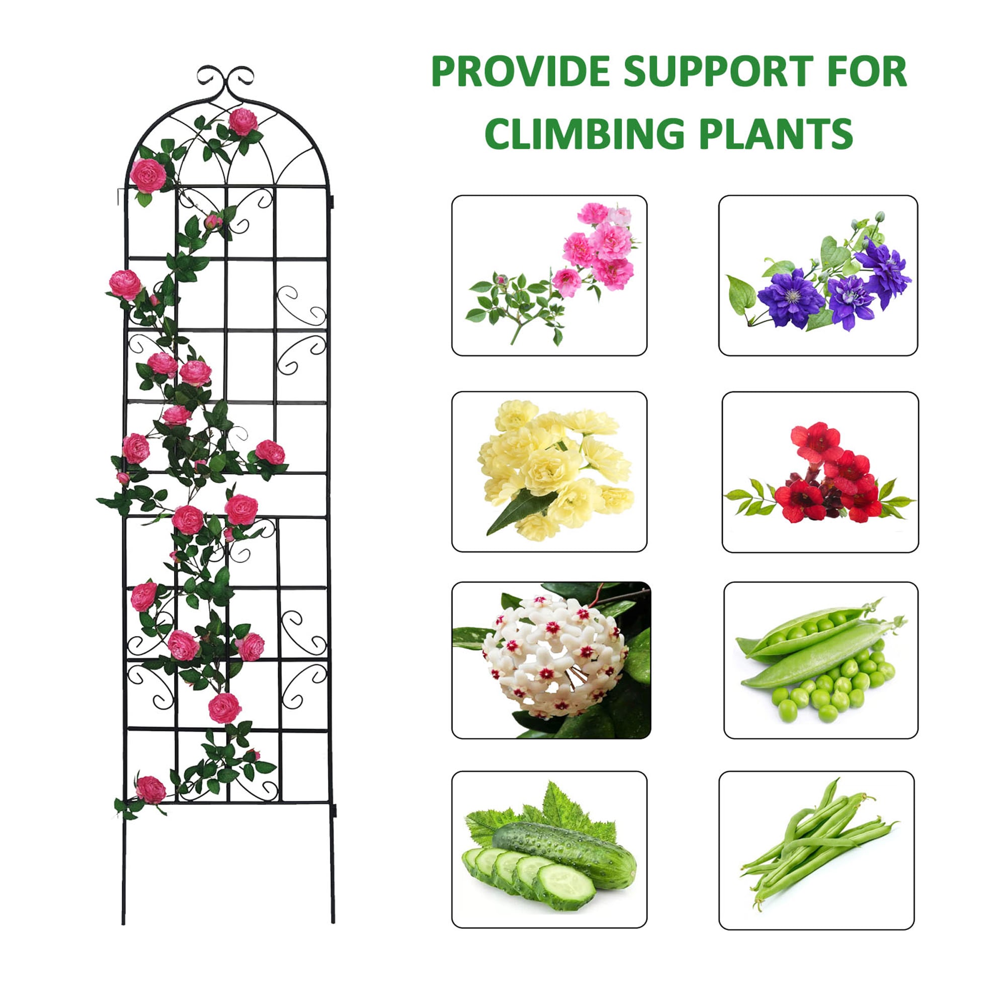 Flynama J-V-81059 Garden-Trellis - View #2