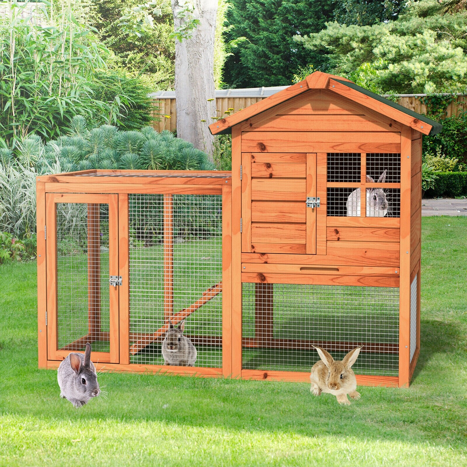 Forclover Multiple Colors/Finishes Wood Convertible Chicken Coop and ...