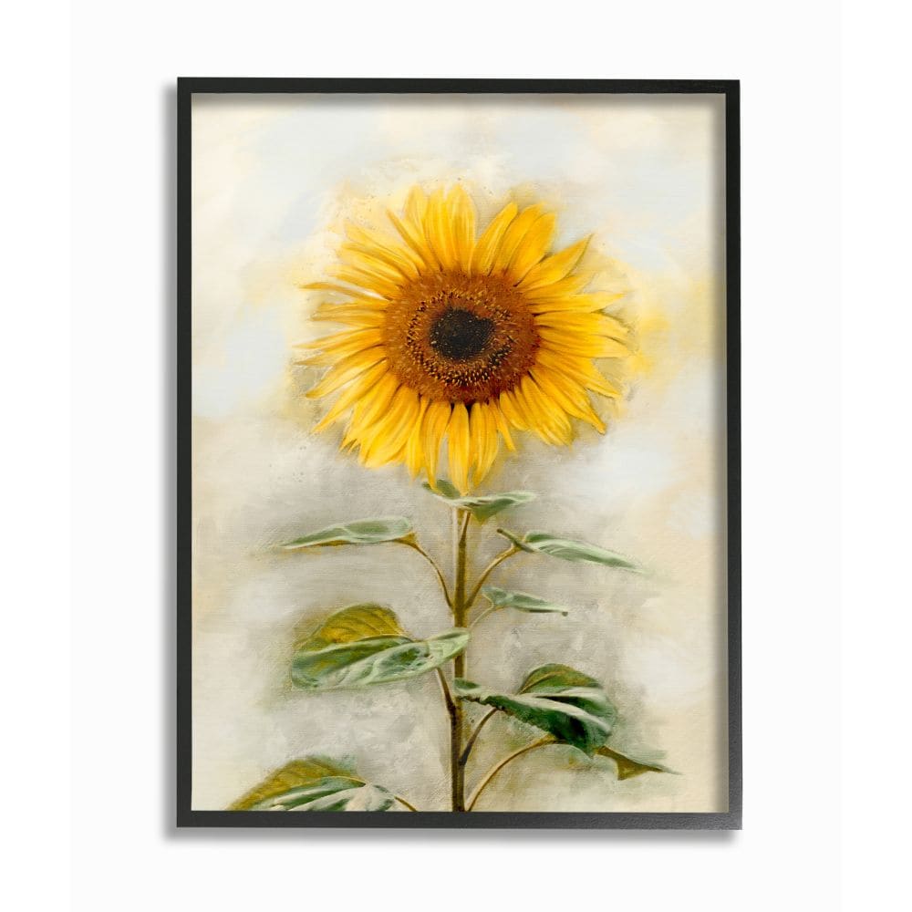 Stupell Industries AB-922-FR-16X20 Sunflower Summer Bloom with Stalk Ziwei Li Black Framed Wood Framed 20-Inches H x 16-Inches W Floral Print