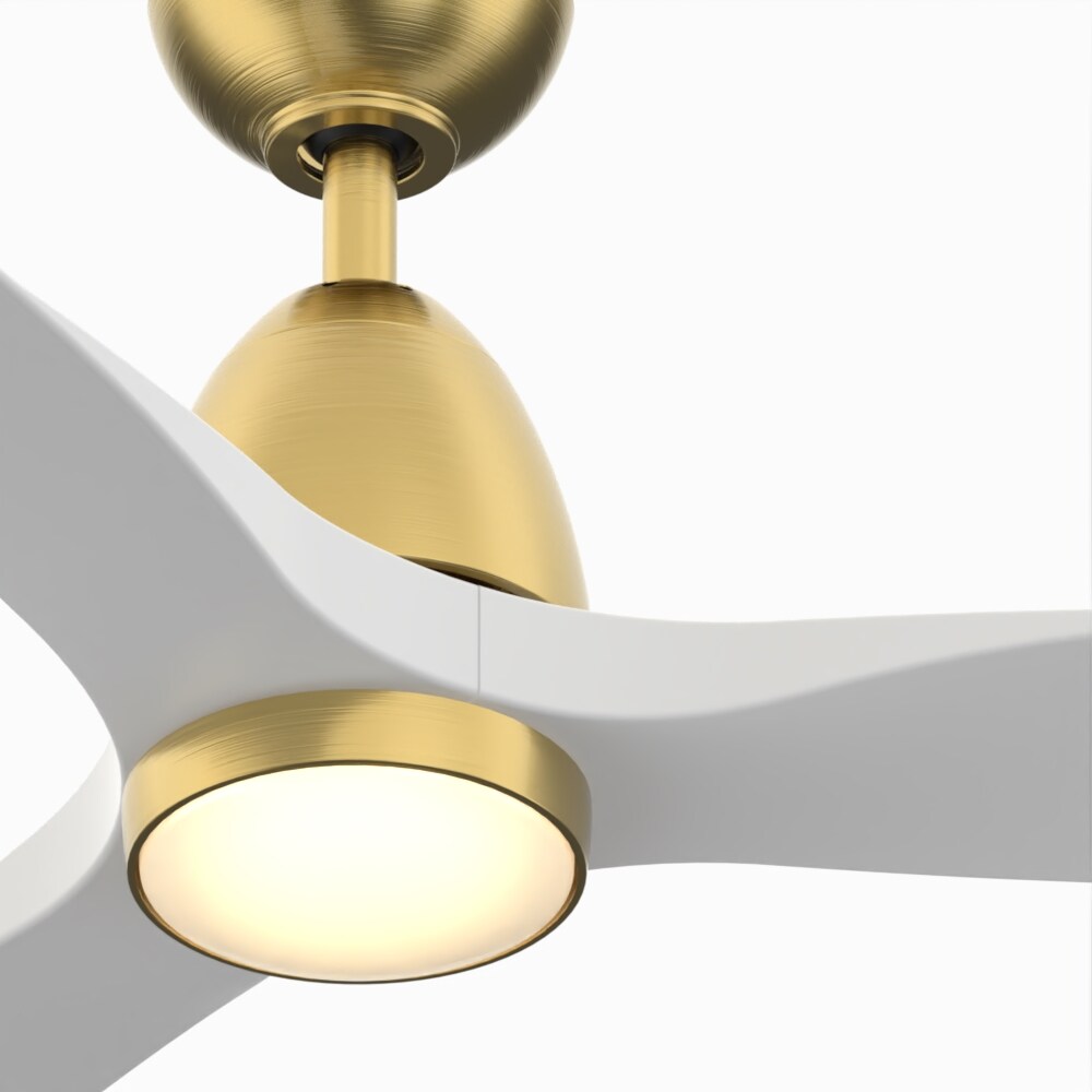 Fanimation Studio Collection LP8333LBS Ceiling-Fans - View #4