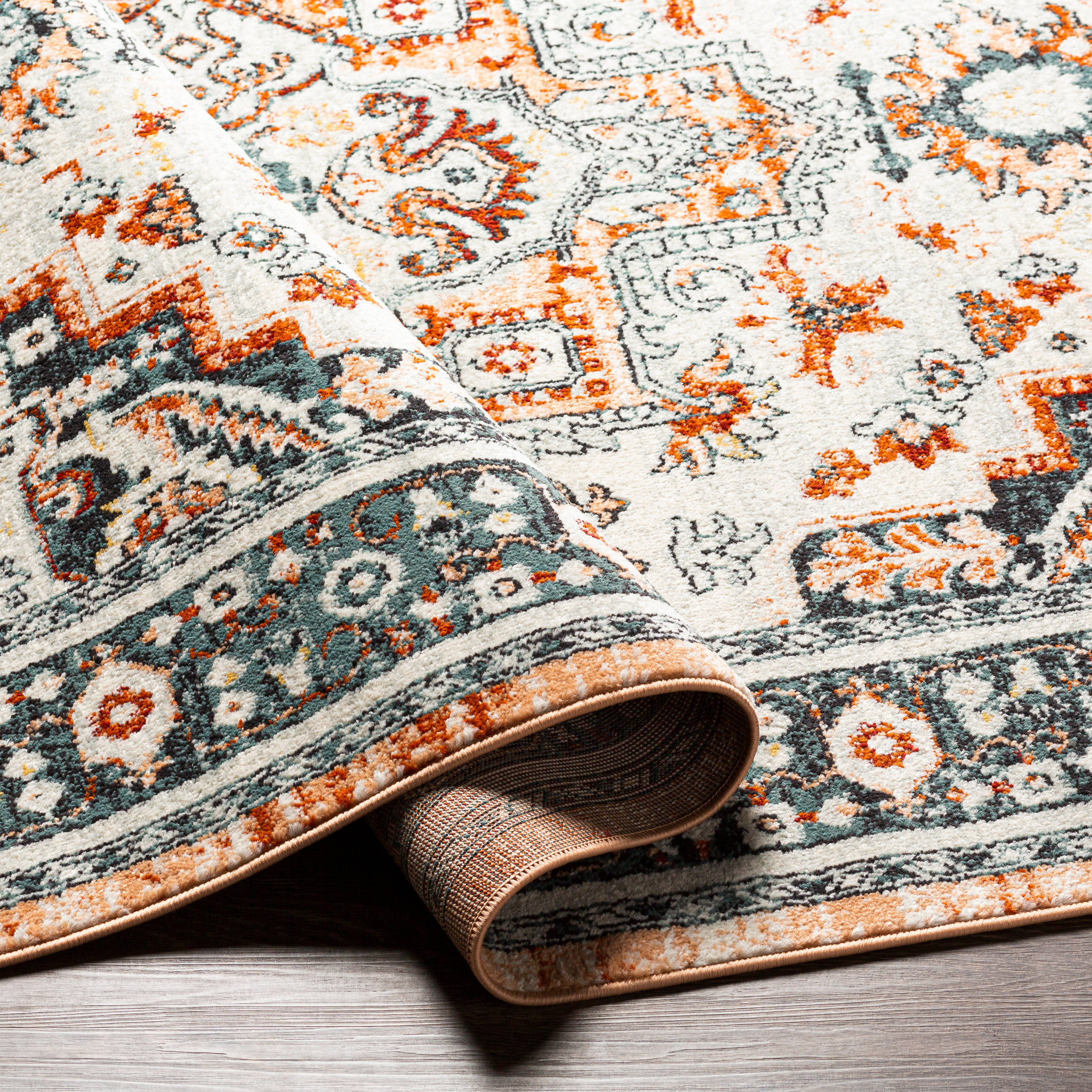 Artistic Weavers TVZ2346-71010 rugs - View #4