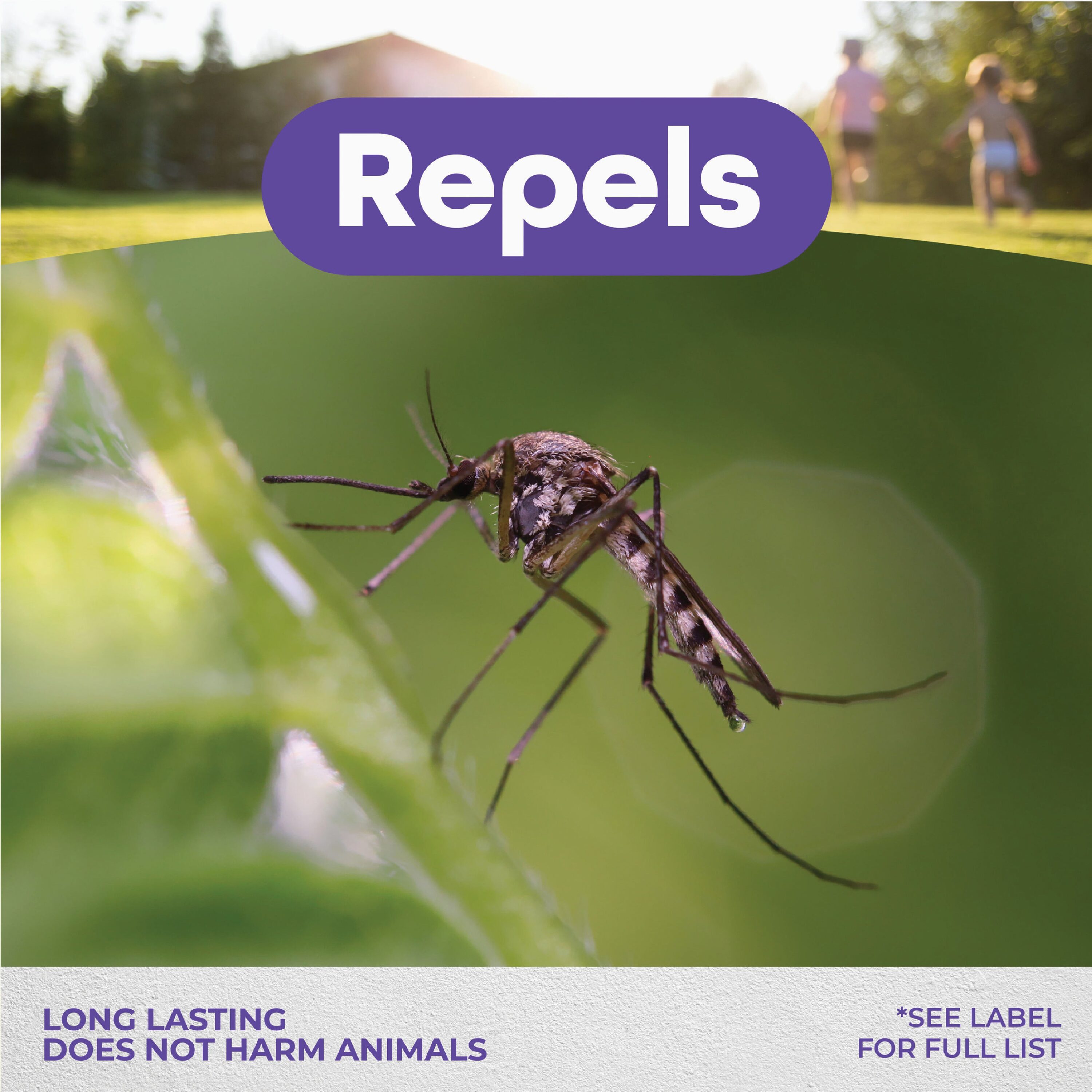 Bonide 5612 Insect-Repellent - View #3