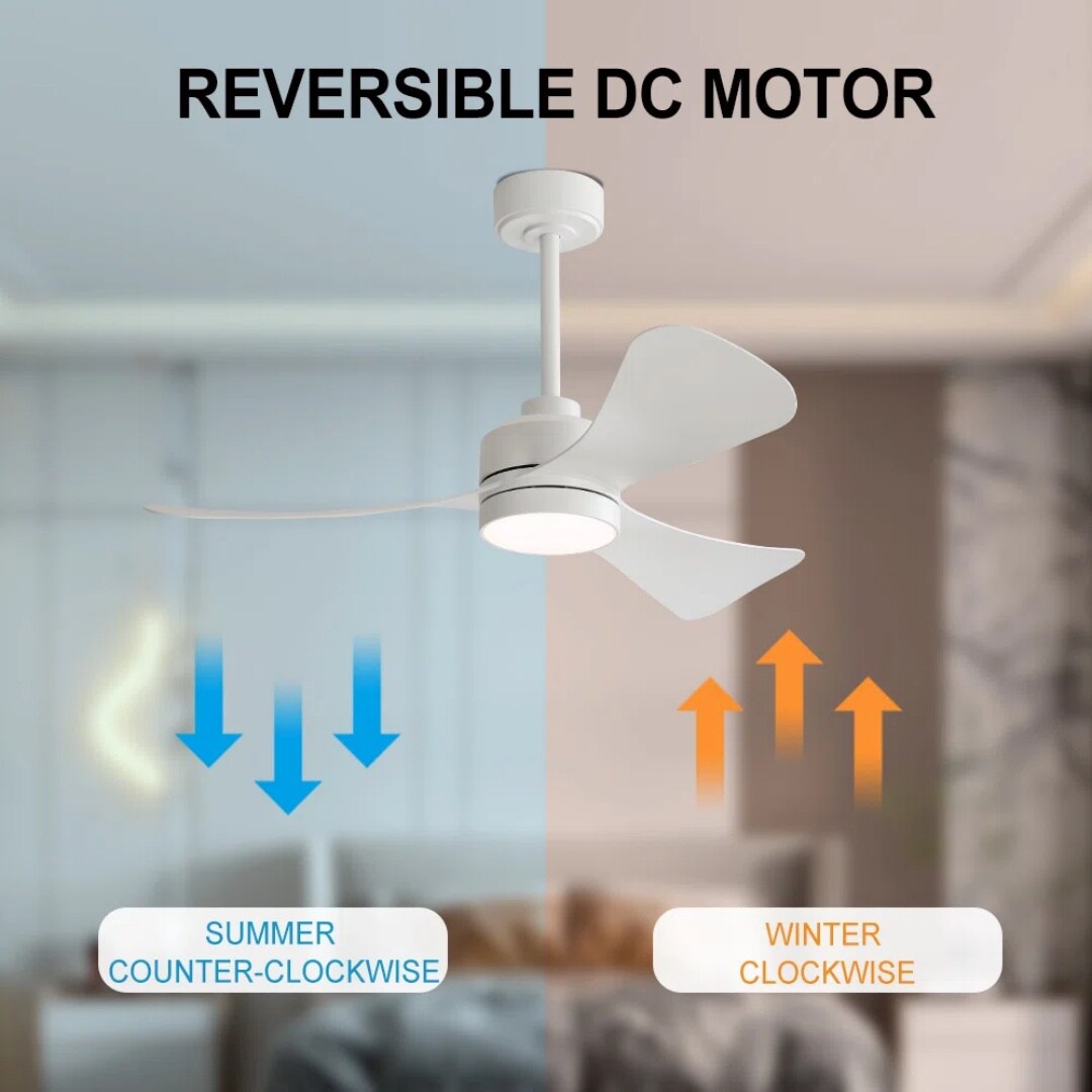 MLIAN WBCF-BS166-WH Ceiling-Fans - View #5