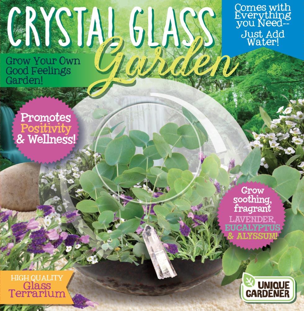 Unique Gardener Fragrant Flower Gardening Kit - Blooms Late Summer, Upright  Growth, 6-12-in Height, Includes Germination Disk, Seeds, Terrarium, and  Quartz Crystal in the Gardening Kits department at