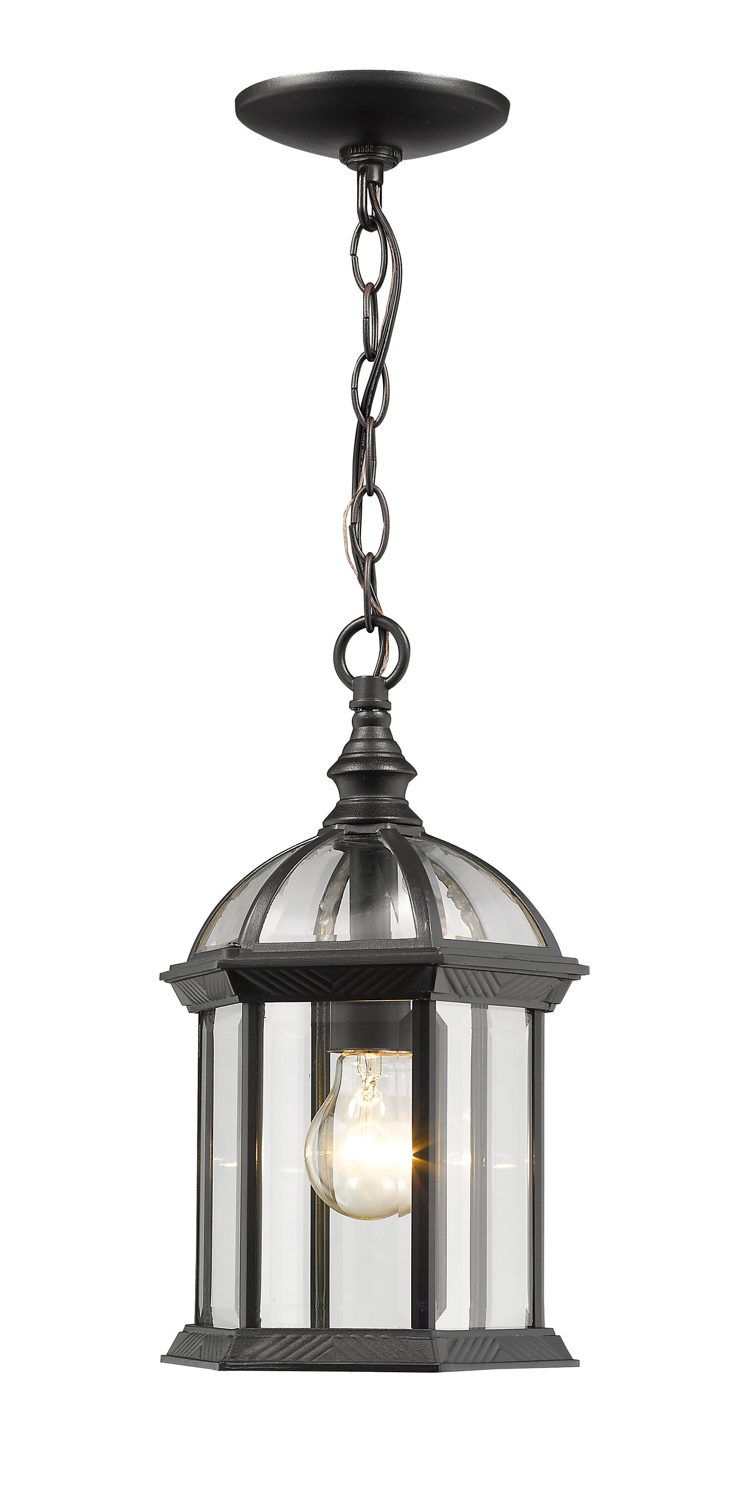 Annex Black Glass Outdoor Mini Pendant Light