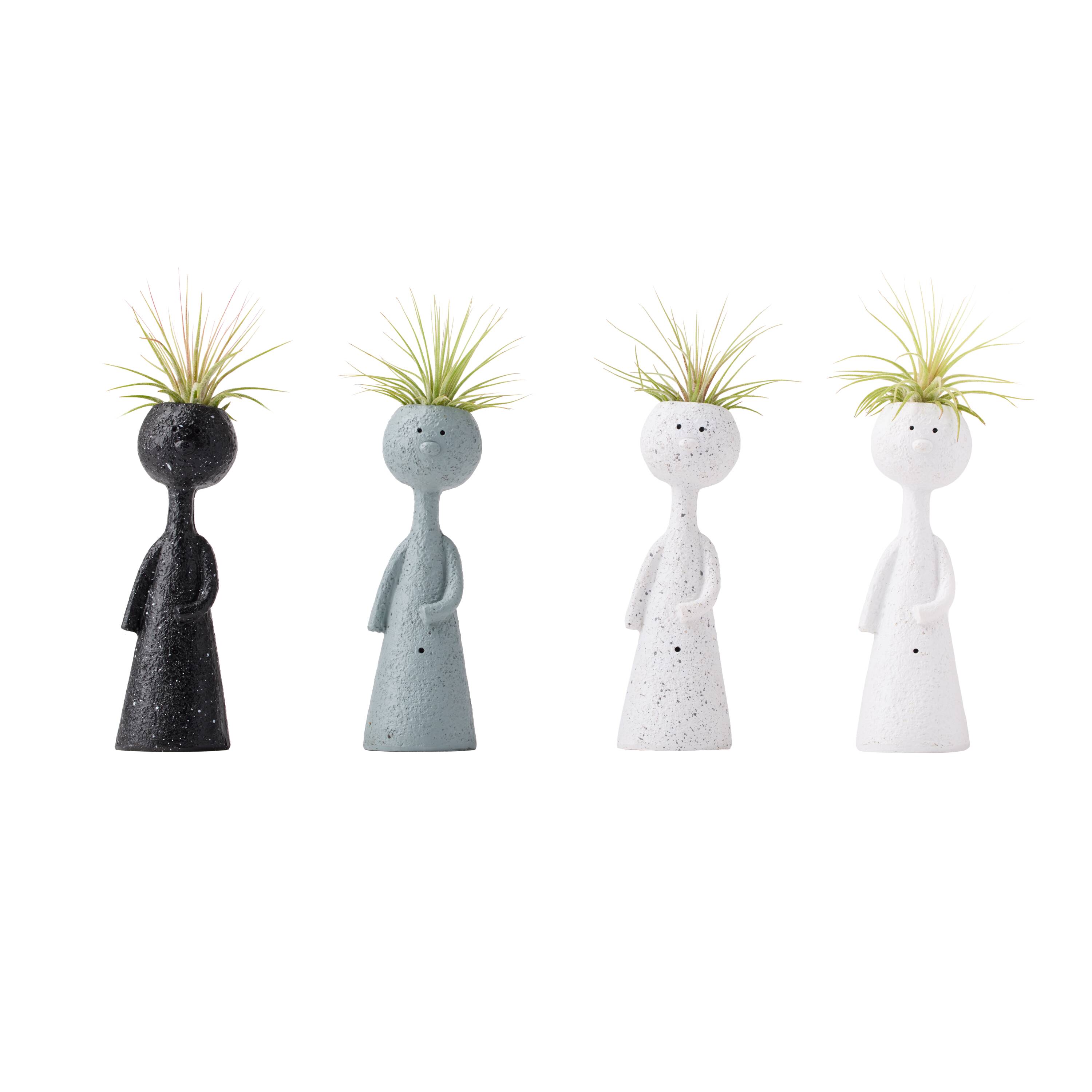 LiveTrends Bold Thinkers House Plant in 1-Pack(s) Pot ASB00819 at
