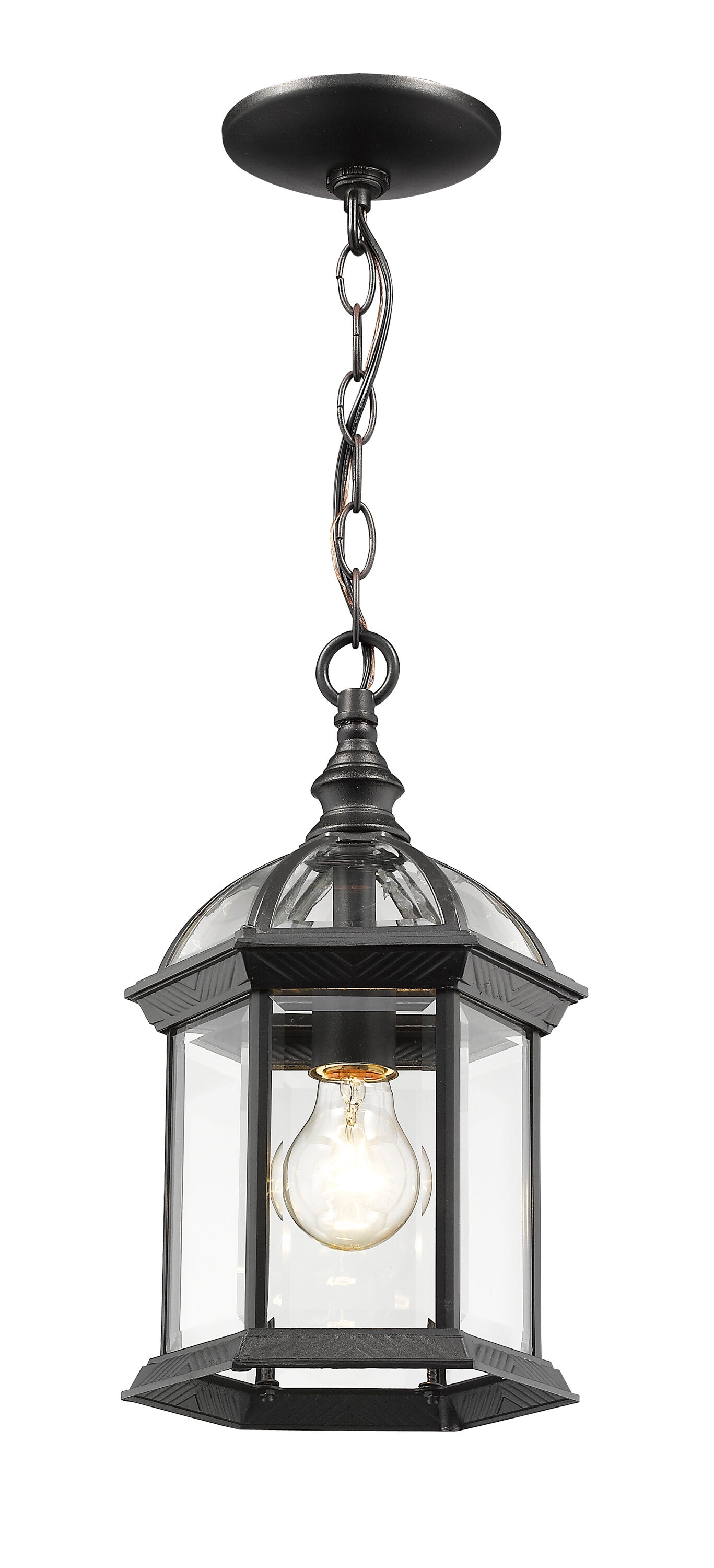 Annex Black Glass Outdoor Mini Pendant Light