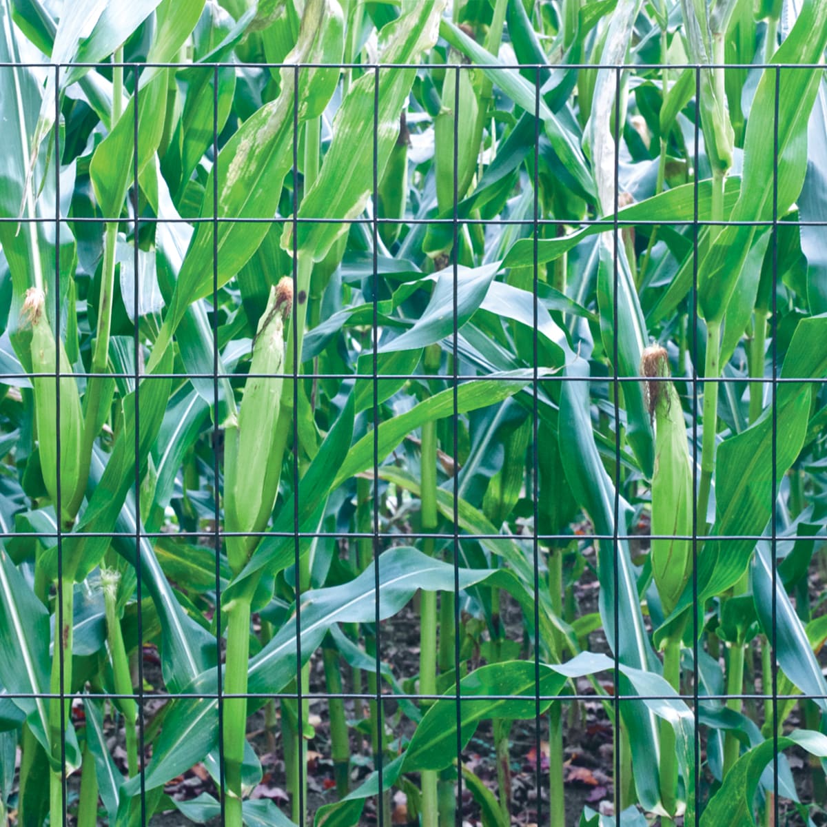 GARDEN CRAFT 716050 Rolled-Fence - View #2