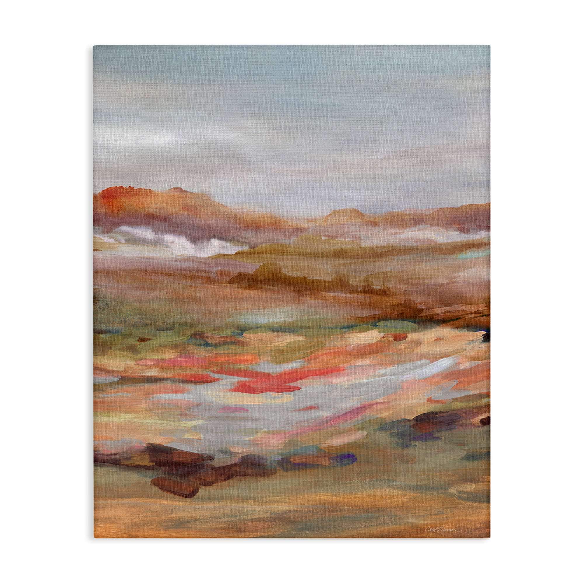 Stupell Industries BS-286-CN-36X48 Dynamic Abstract Desert Canvas design by Carol Robinson