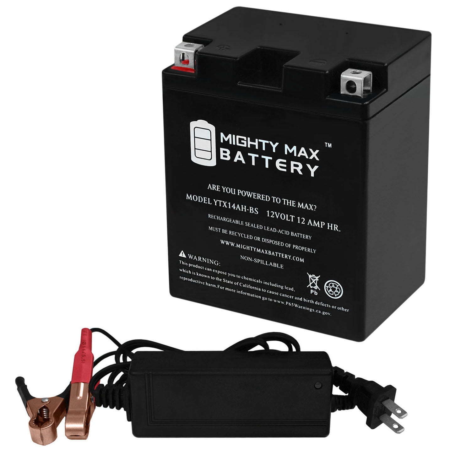 Mighty Max Battery 12V 12AH F2 for Daiwa 500 Electric Fishing Reel  Rechargeable Sealed Lead Acid 12120 Backup Power Batteries in the Device  Replacement Batteries department at