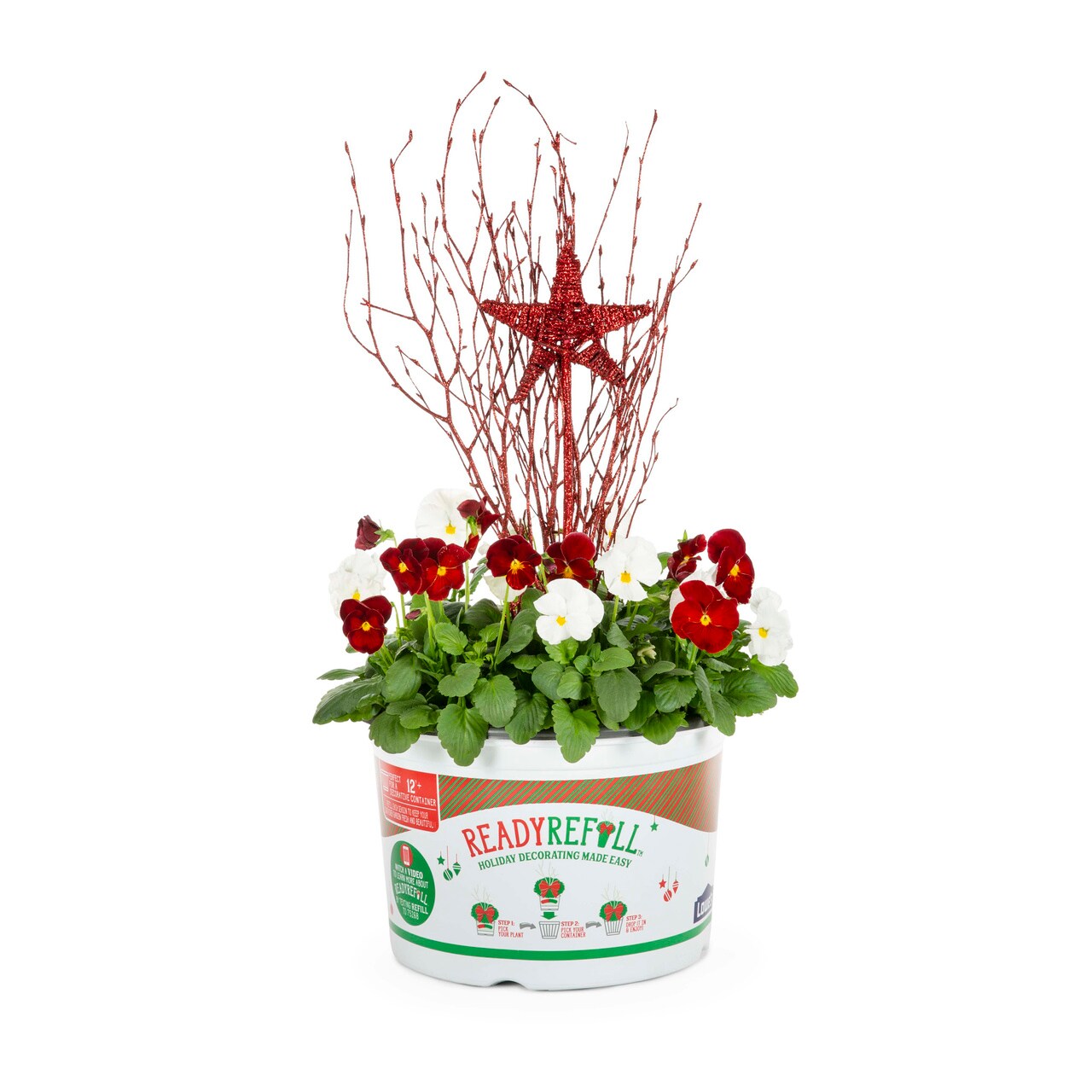 Ready Refill 5460153 Multicolor Pansy in 1.5 Gallon(s) Pot 1 -Pack