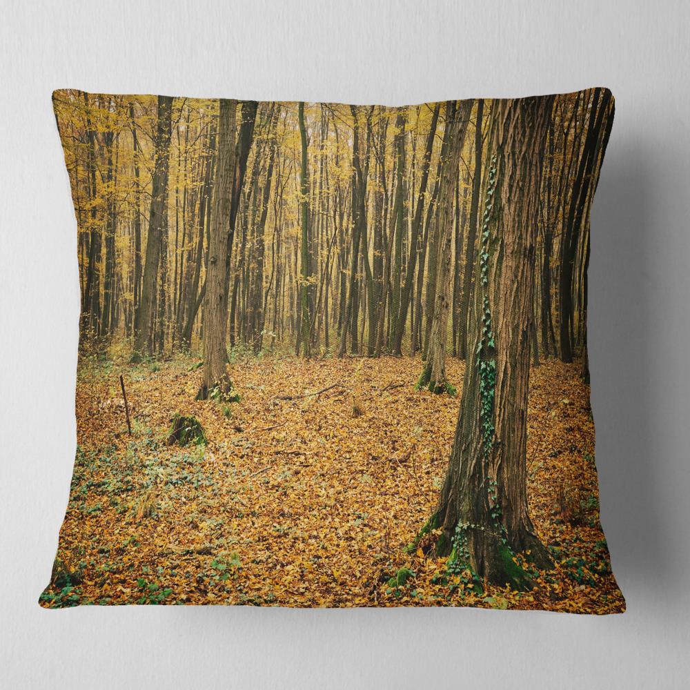 Designart CU13952-18-18 18-in x 18-in Brown Indoor Decorative Pillow