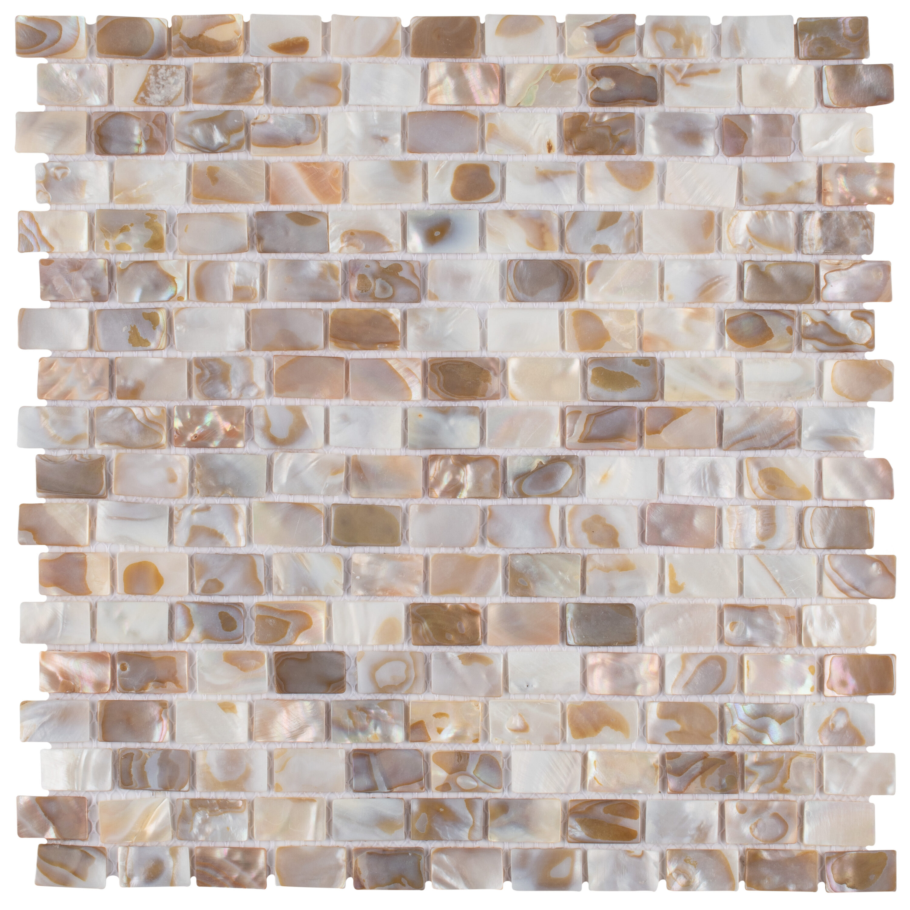 Affinity Tile S1GDXCSWN Sample - Conchella Subway Natural 6-in x 6-in Glossy Porcelain Wall Tile