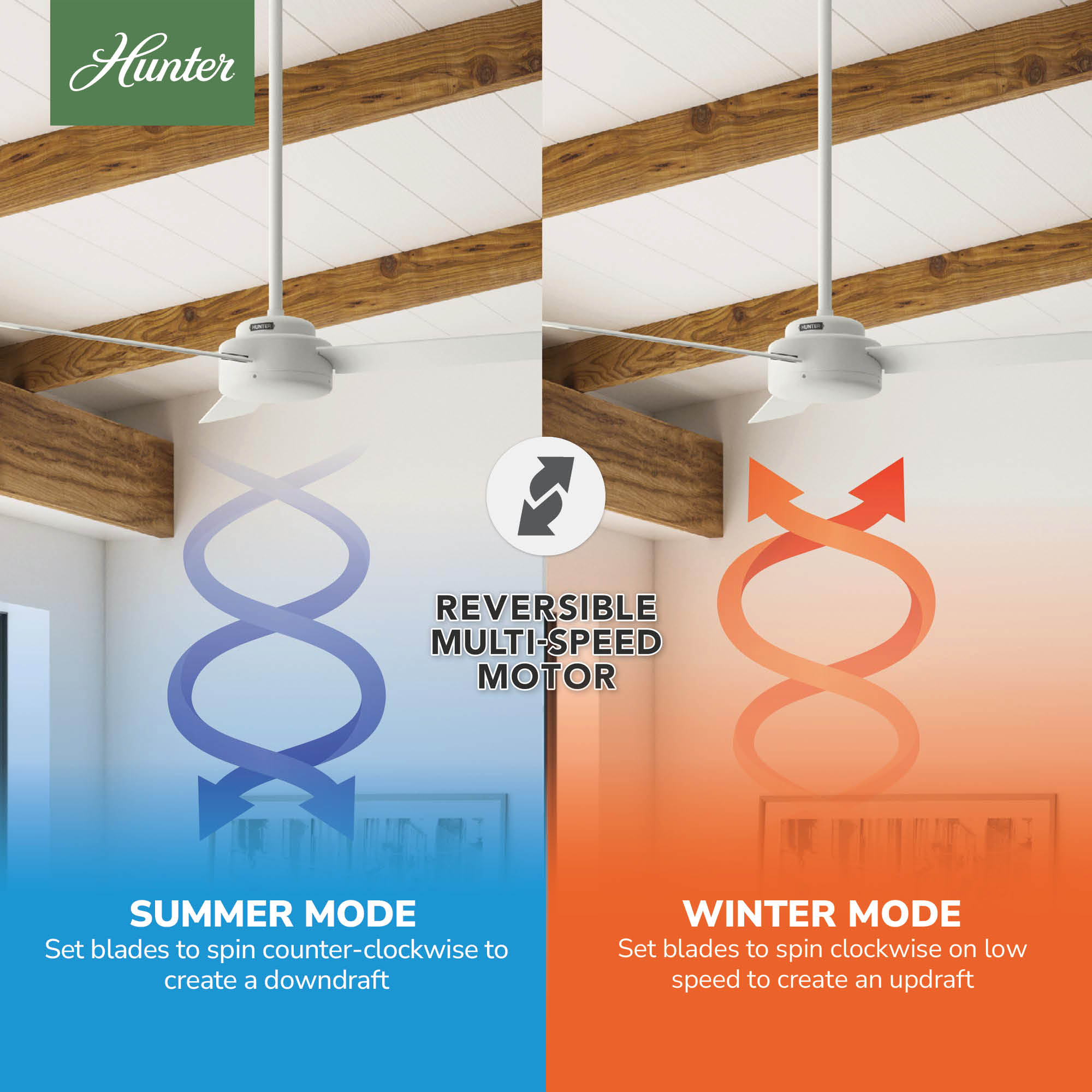 Hunter 50811 Ceiling-Fans - View #7
