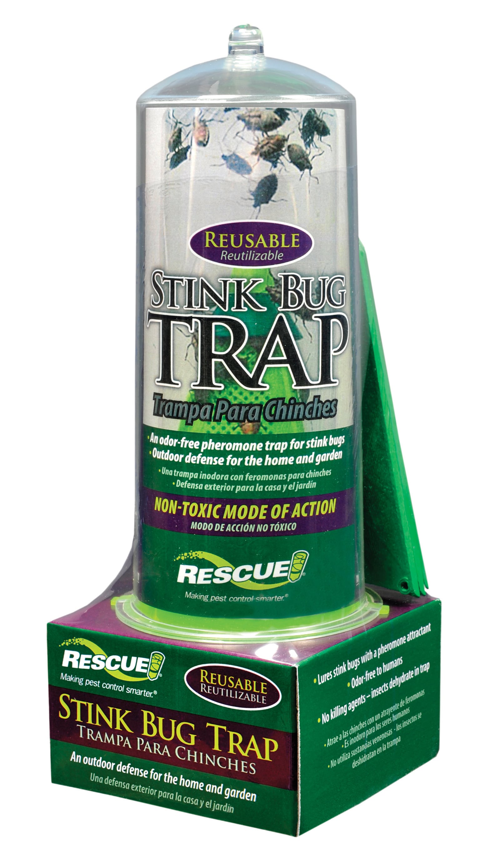 Cheap DIY Stink Bug Trap 