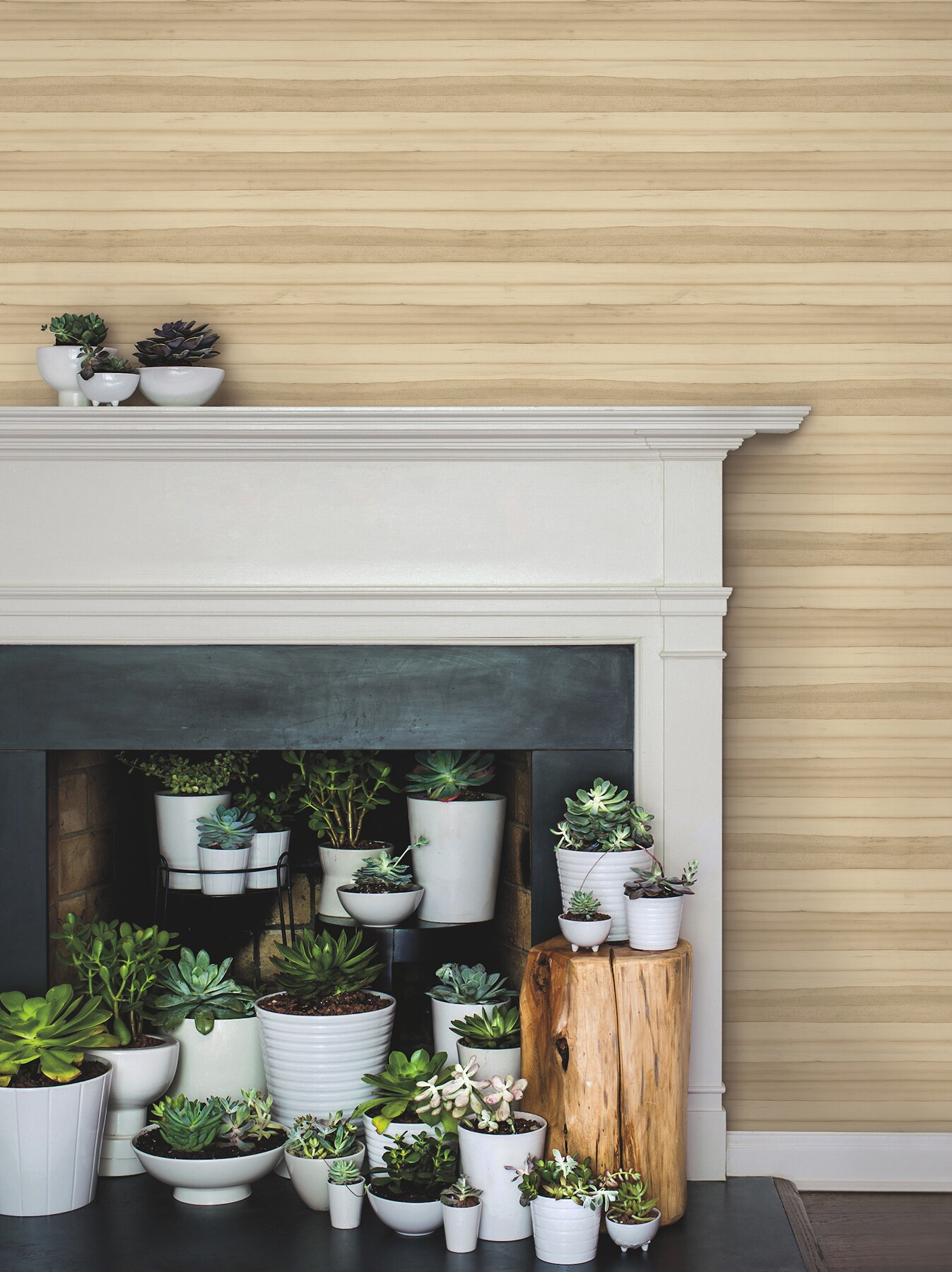 York Wallcoverings GO8261 wallpaper - View #2