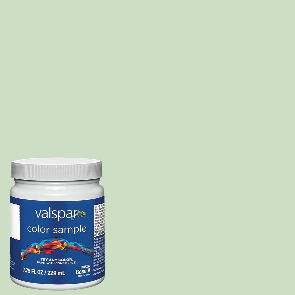 Valspar 5007-5A Crocodile Dreams 5007-5A Paint sample ( Half-pint )