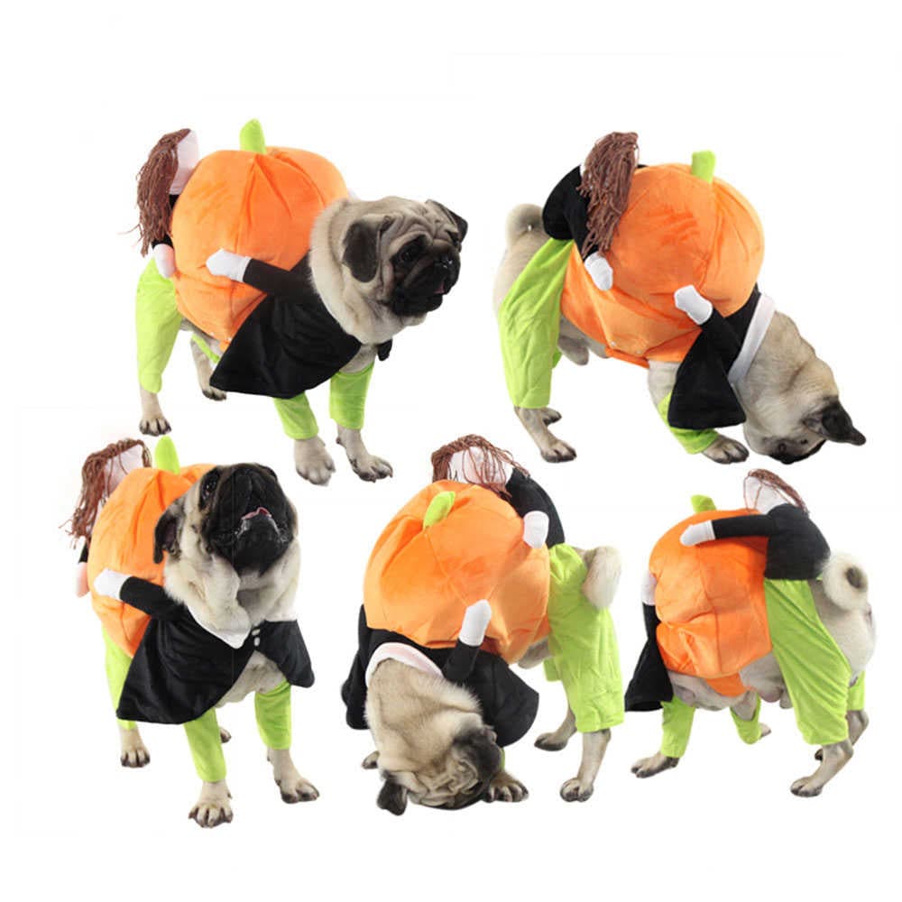 Pet Life Large Polyester Pumpkin Costume Dog Cat Costume in the