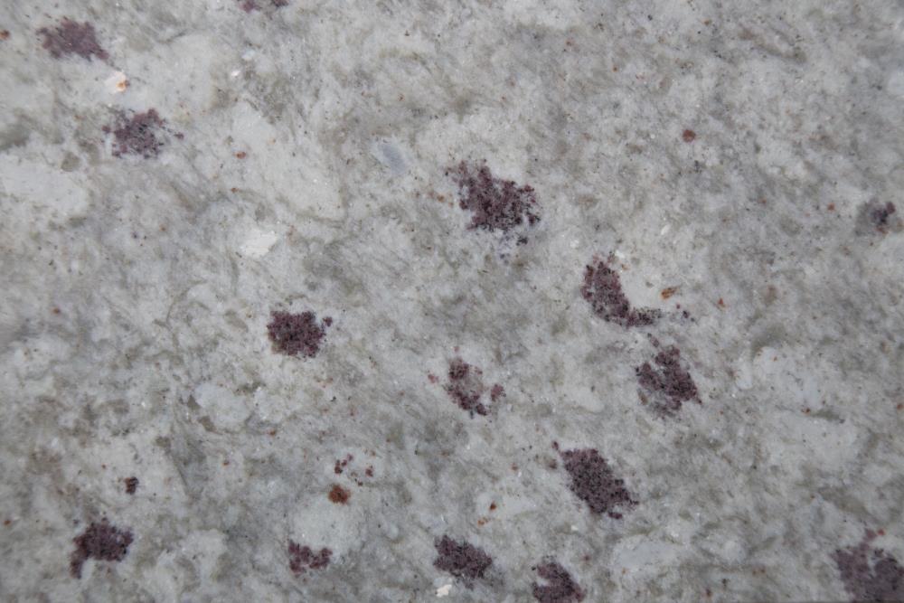 SenSa 245644 Luna Blanca Granite White Kitchen Countertop Sample (4-in x 4-in)