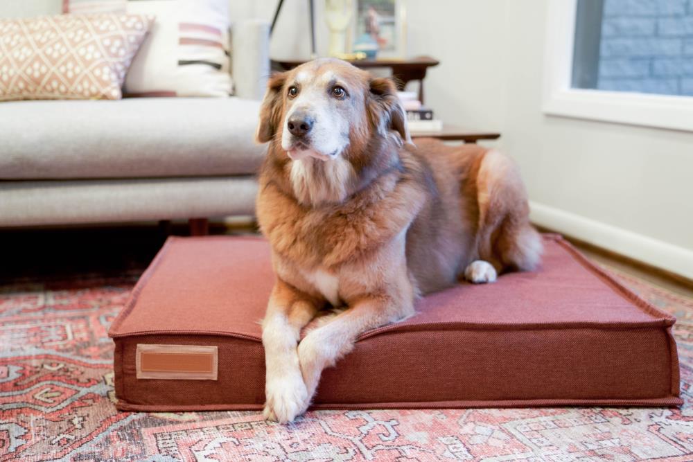 Rover sales dog beds