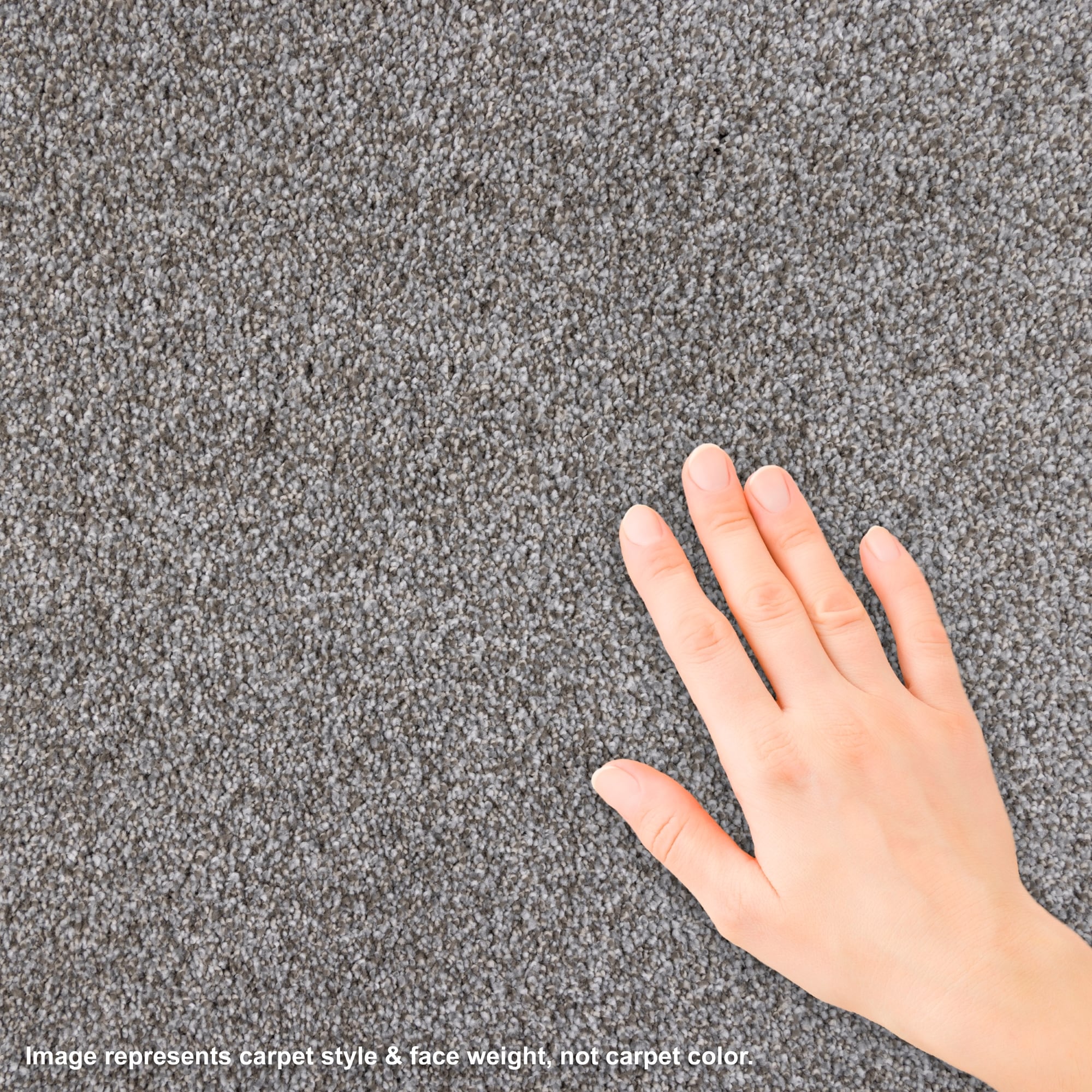 STAINMASTER L5020-1804-0808 Carpet-Samples - View #4