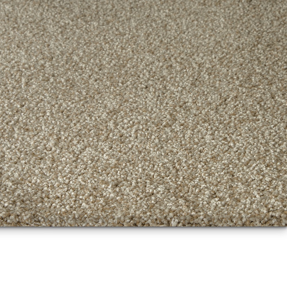 STAINMASTER PetProtect SS070-12-L003 Carpet-Panel - View #6