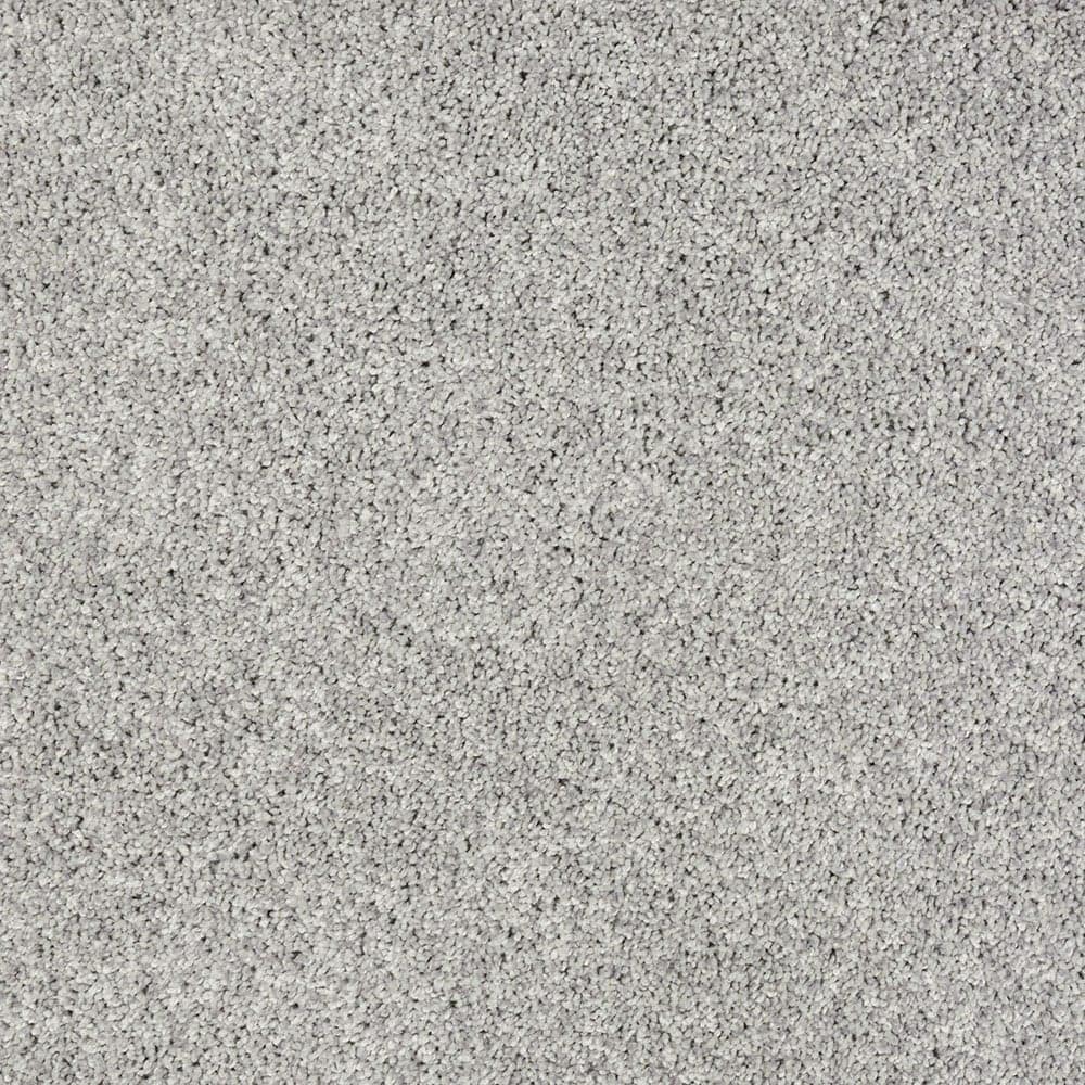 STAINMASTER SS004-L001-0808 (Sample) Comfort Walk III Somber Gray 70-oz sq yard Polyester Textured Indoor Carpet