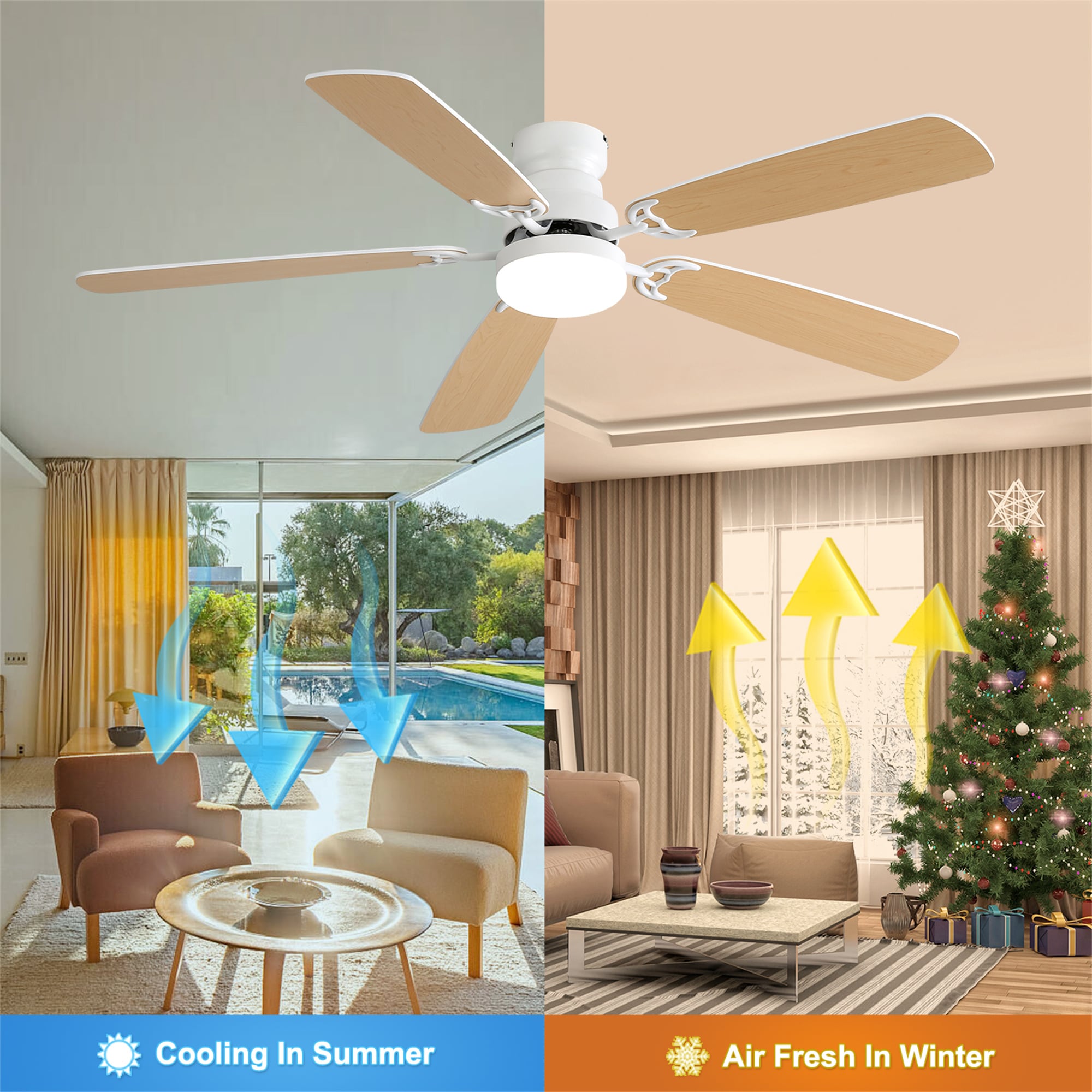 BABOOM BOM-82P1462-OR Ceiling-Fans - View #5