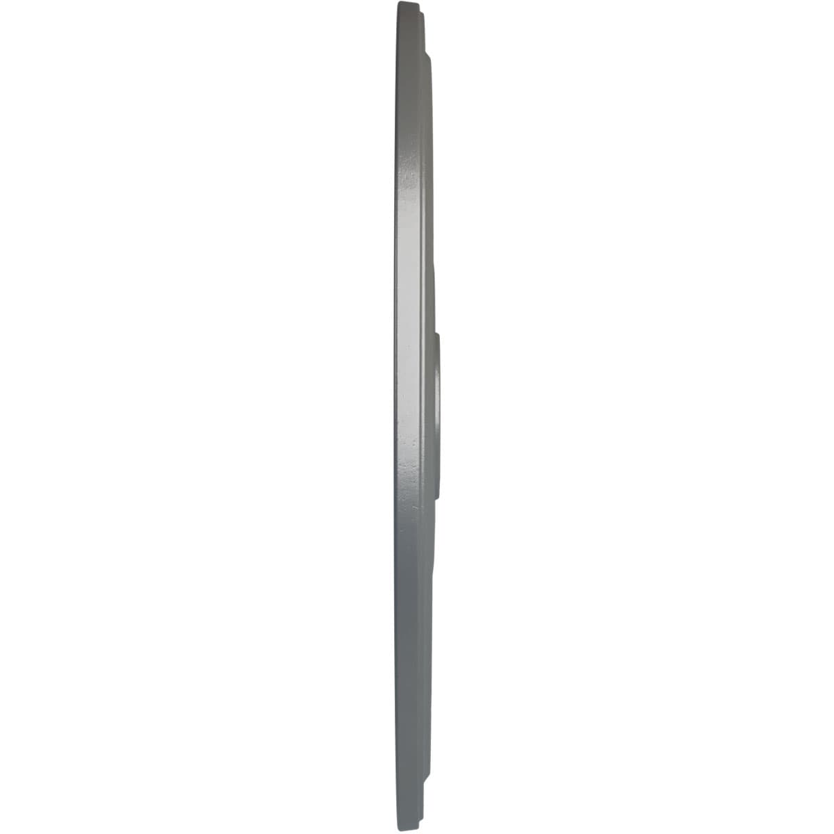 Ekena Millwork CM24DISLS Ceiling-Medallions - View #3