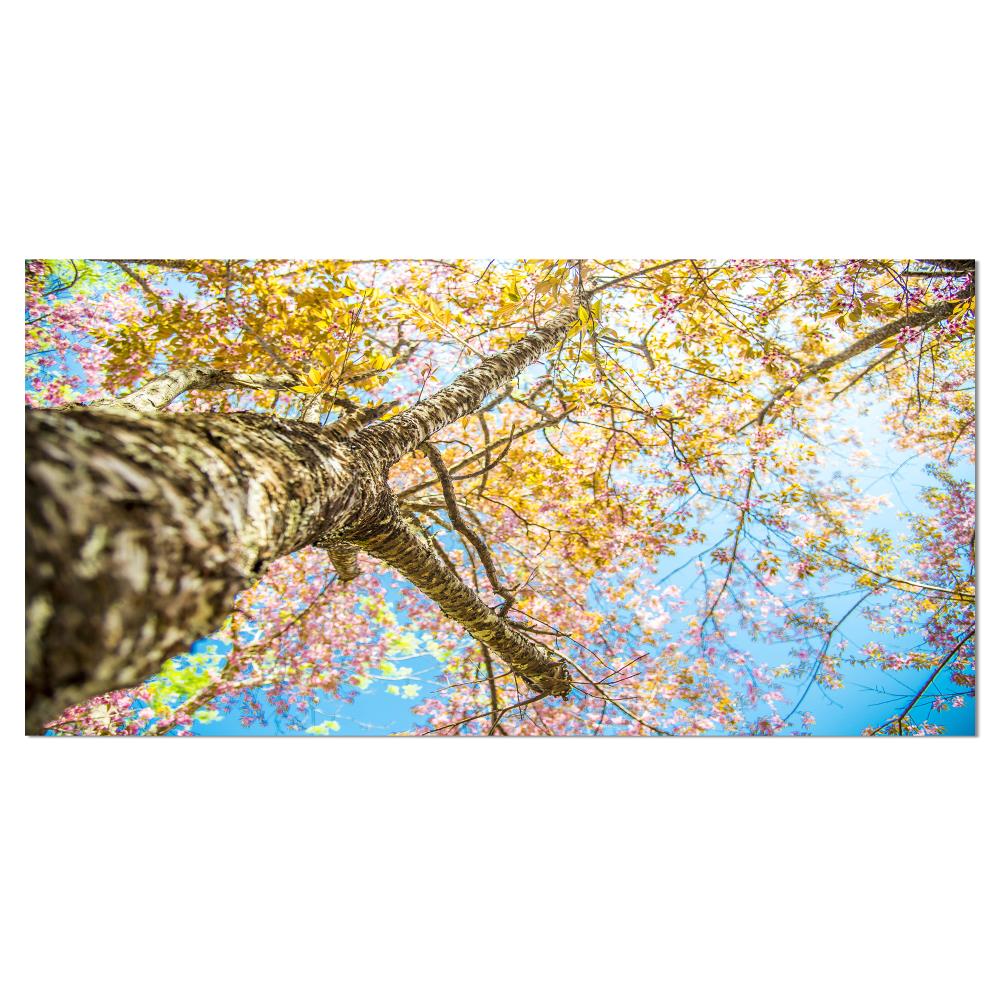 Designart PT14792-32-16 16-Inches H x 32-Inches W Landscape Canvas Print