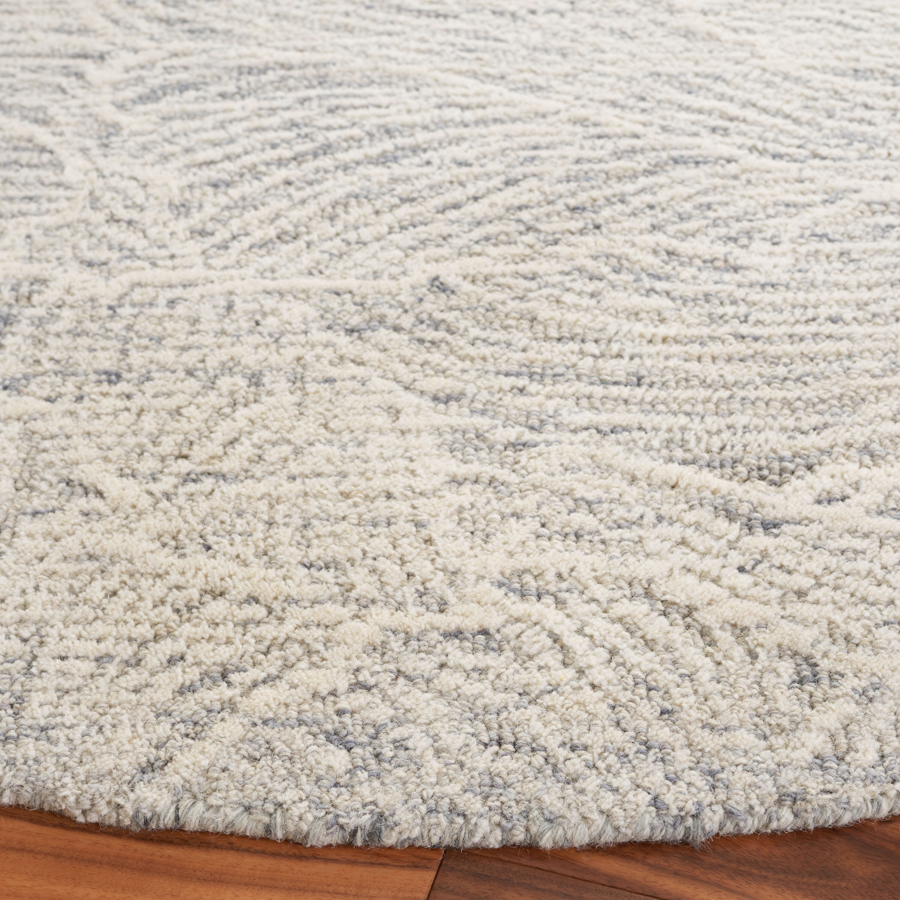 Safavieh EBN101F-6R rugs - View #3