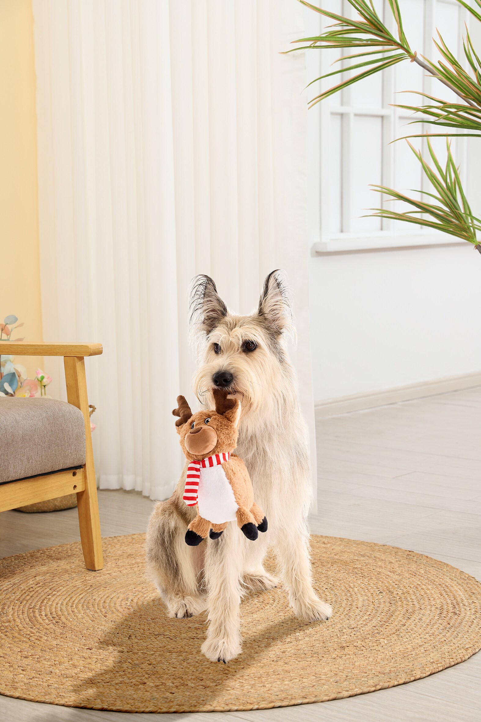 Holiday Living YT2503 Dog-Toys - View #5