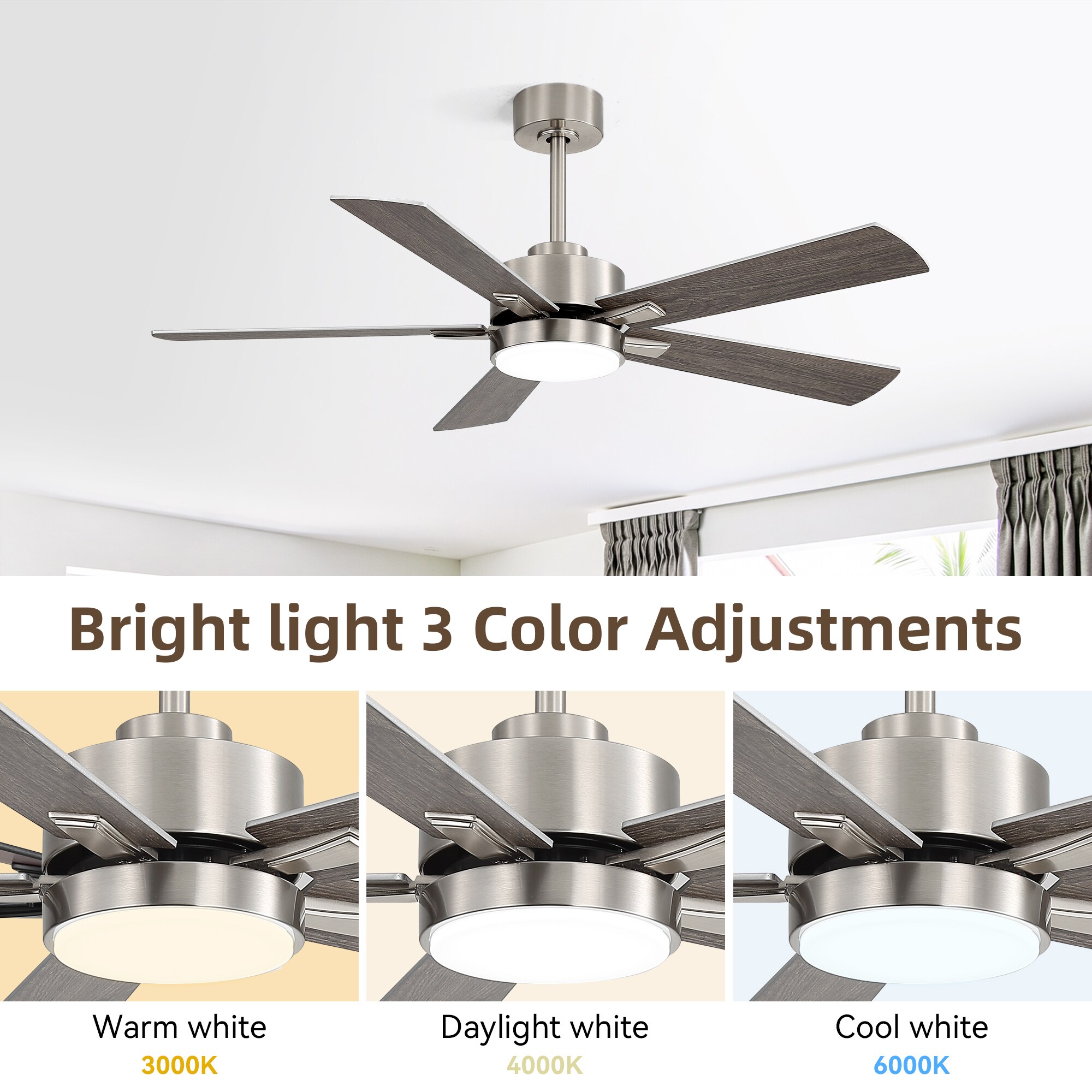 Fun Orange FUN26CF146 Ceiling-Fans - View #3