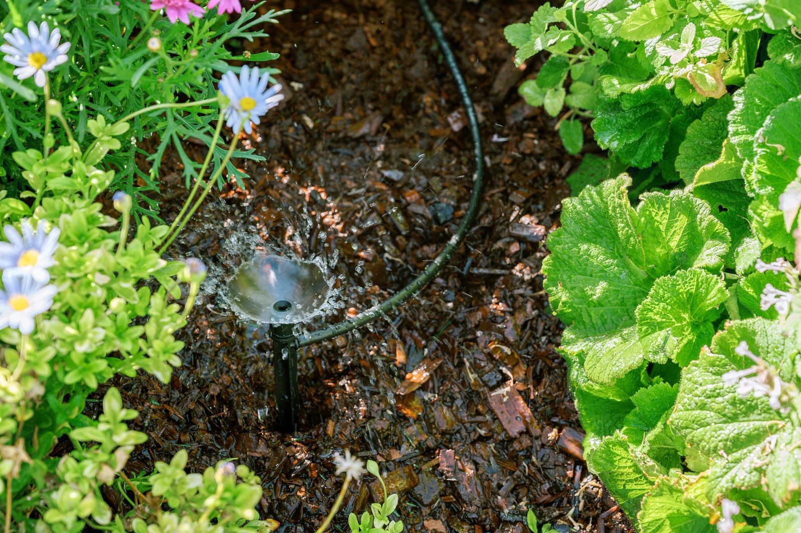 Orbit 67523 Drip-Irrigation-Kits - View #12