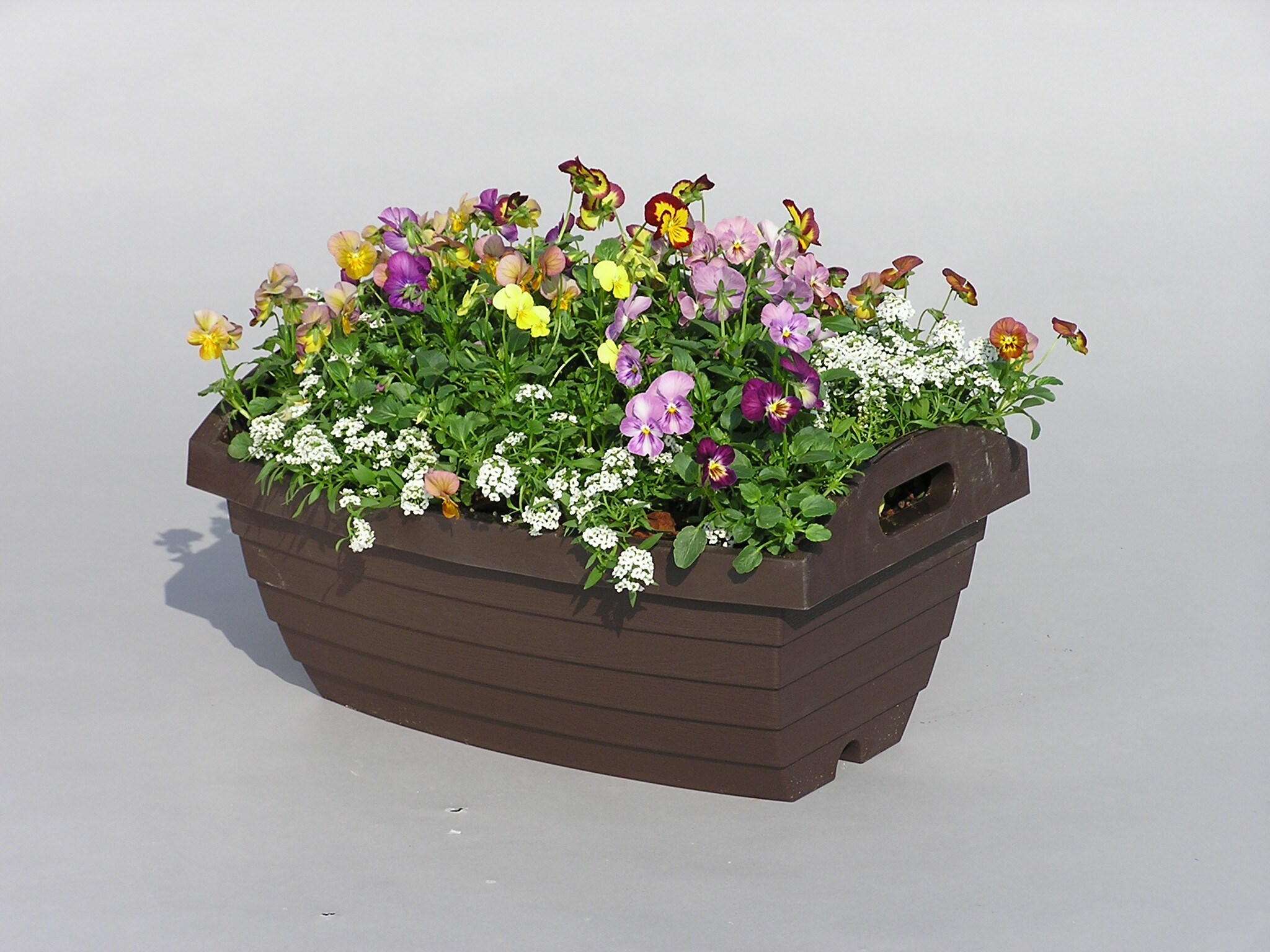 Astage 902809 Planter-Window-Box - View #3