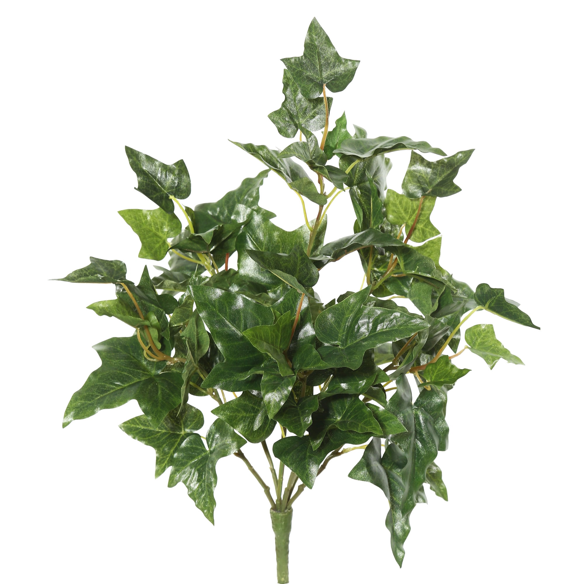 Vickerman FB171701 20-in Green Indoor Ivy Artificial Plant